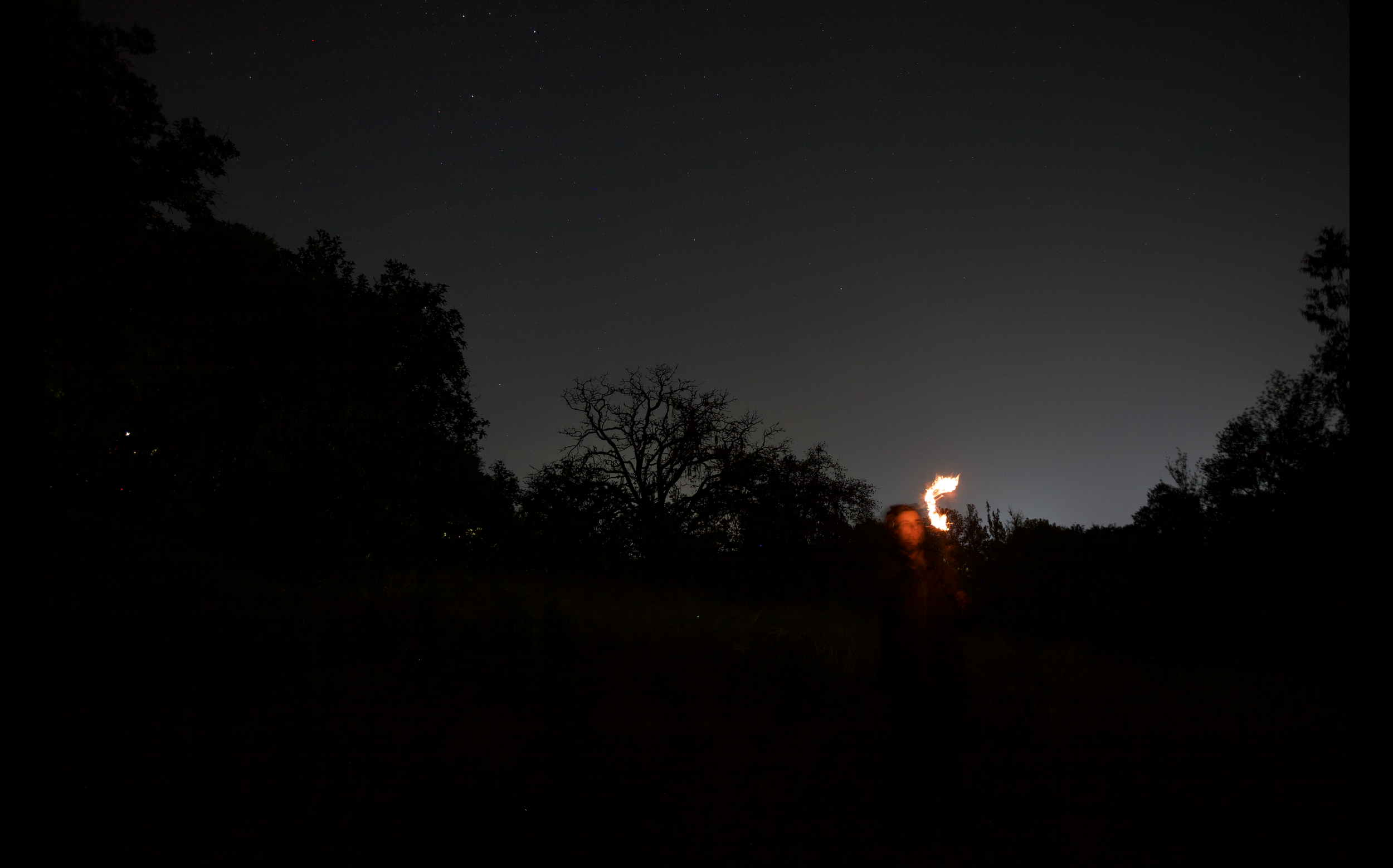 Captura de pantalla 2025-01-06 a la(s) 10.24.39 p.m..png