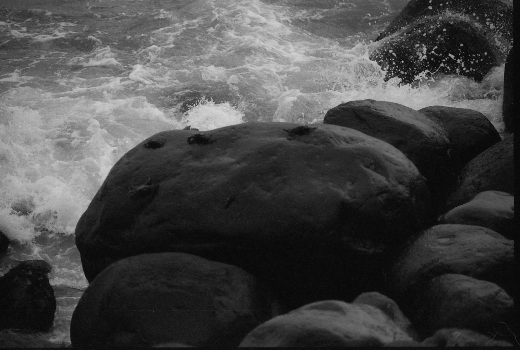 Copia de 35mm  2-2.jpg