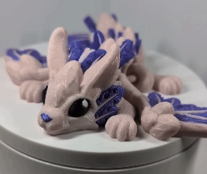 PXL_20250325_013219394~2 (2).gif