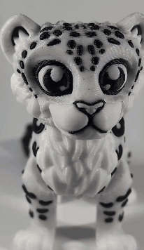 PXL_20250428_235928238~2.gif
