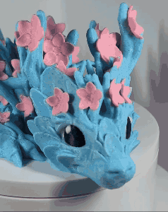 PXL_20250429_000810970~2.gif