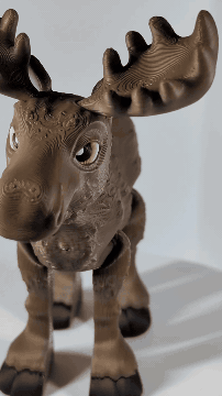 PXL_20250429_000019114~2.gif