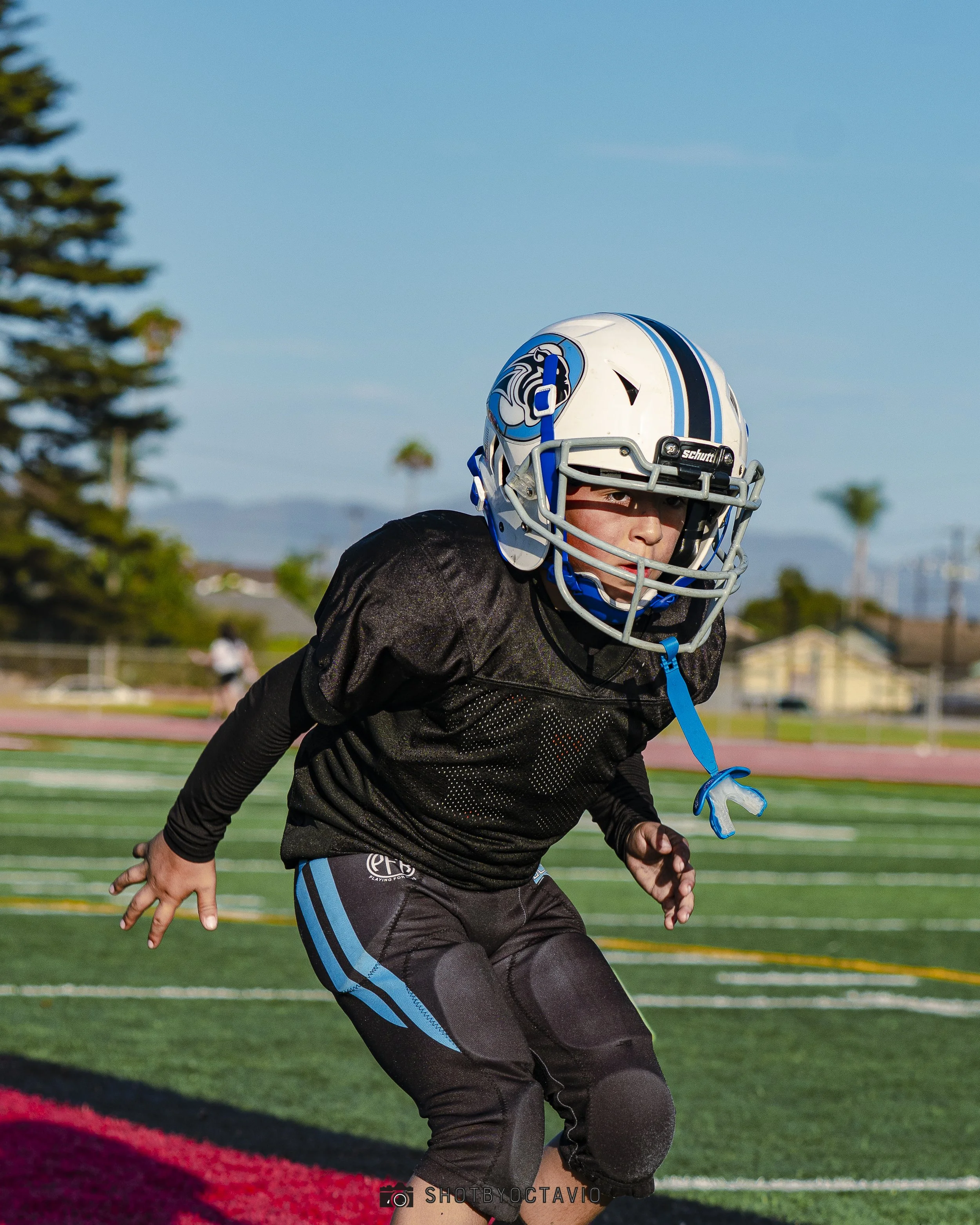 SBO02768.jpg