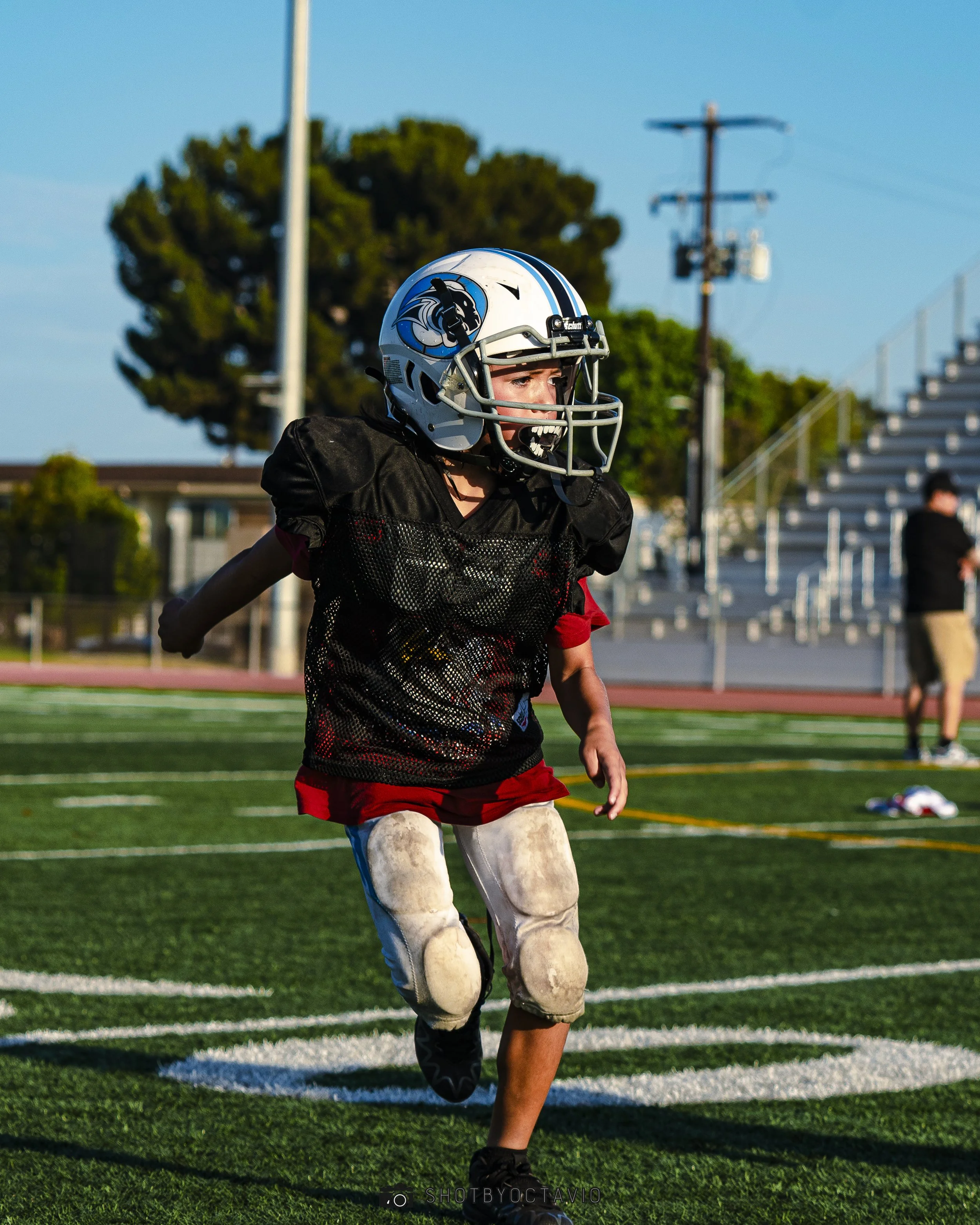 SBO02846.jpg