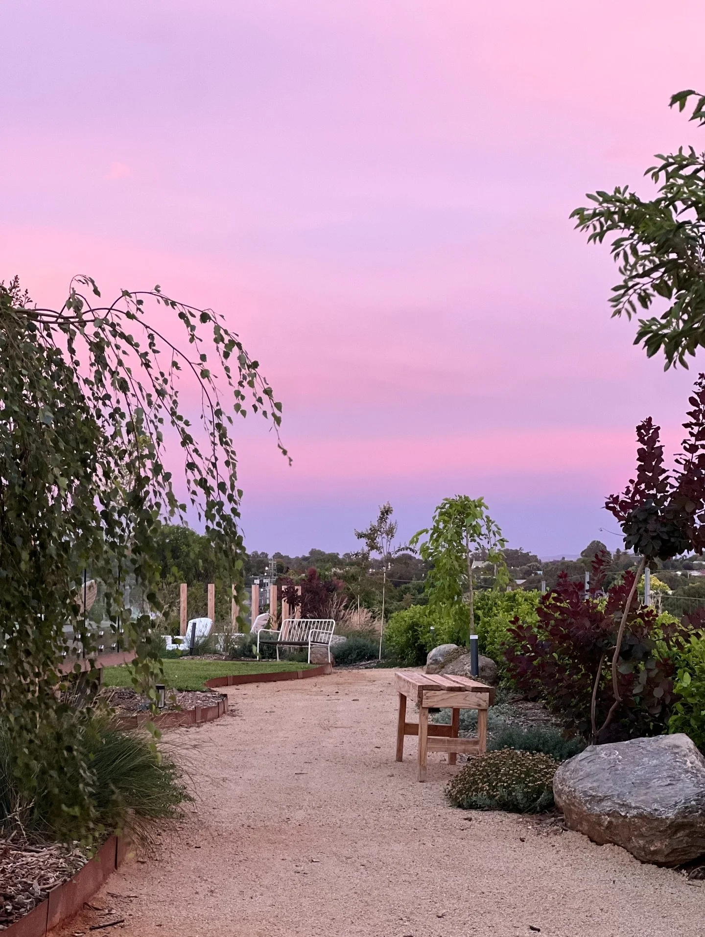 Garden looking pretty 😍