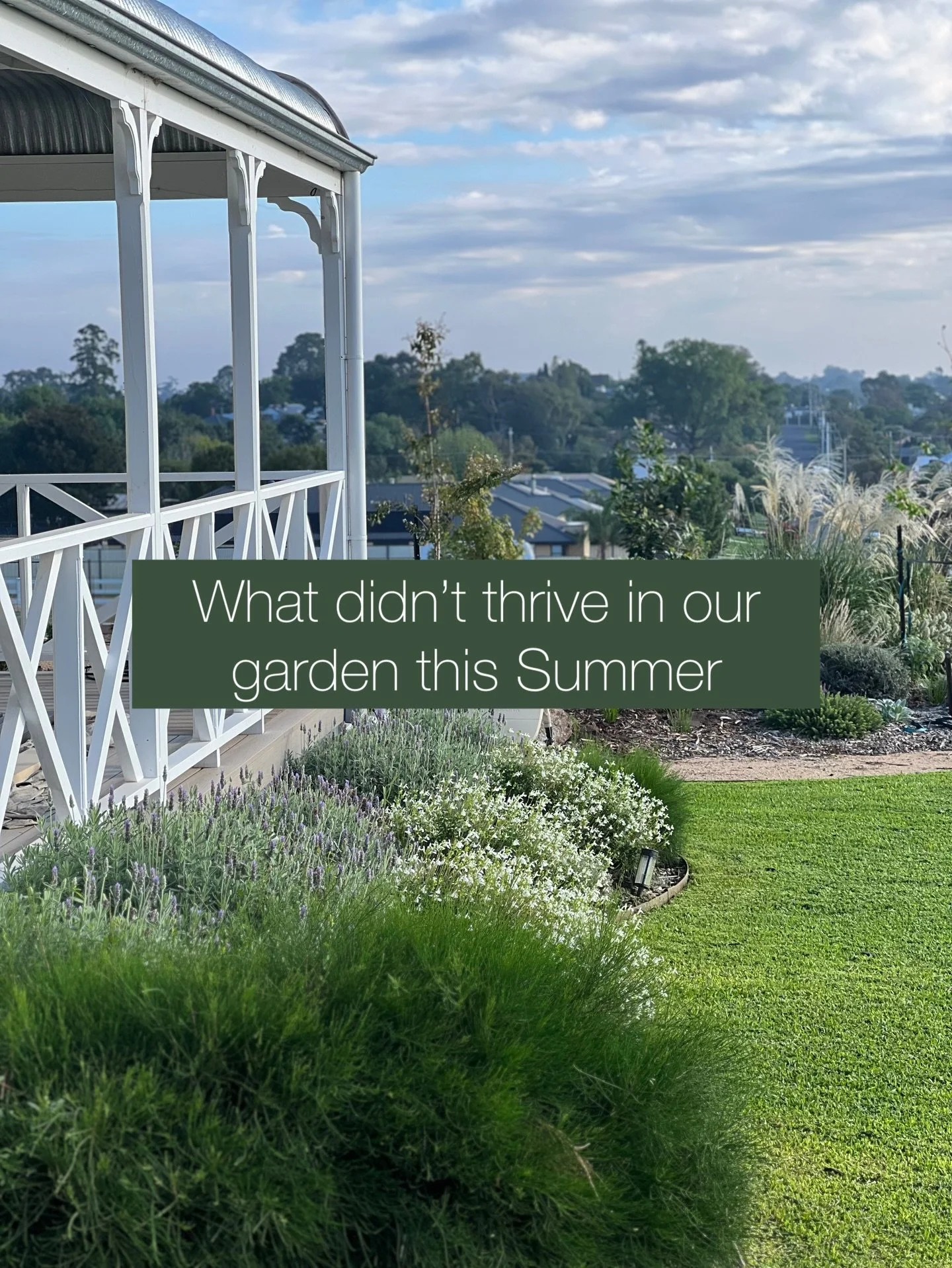 Ok so I&rsquo;m sure there are a lot of reasons these plants didn&rsquo;t &lsquo;thrive&rsquo; over Summer but I&rsquo;ve got no patience to find out. These were my &lsquo;high maintenance&rsquo; babies. Some of them I&rsquo;ll wait and see how they 