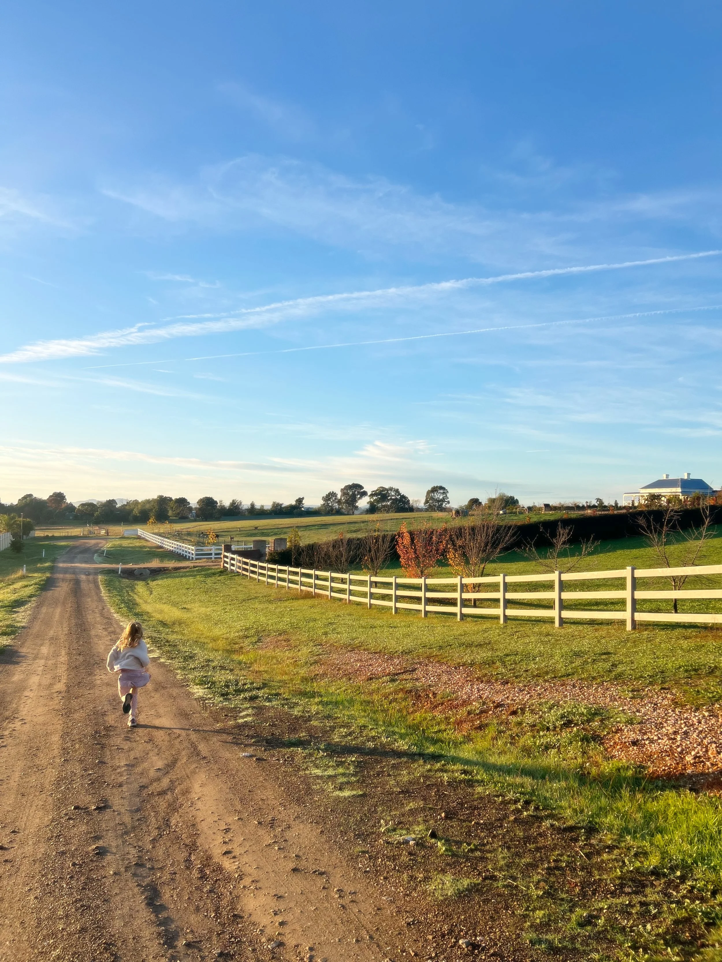 This scene looks idyllic, but we&rsquo;re actually chasing Daisy as she zooms up and down the street 🙈
Every time we think she&rsquo;s trustworthy, a sheep appears and she&rsquo;s off on another adventure!