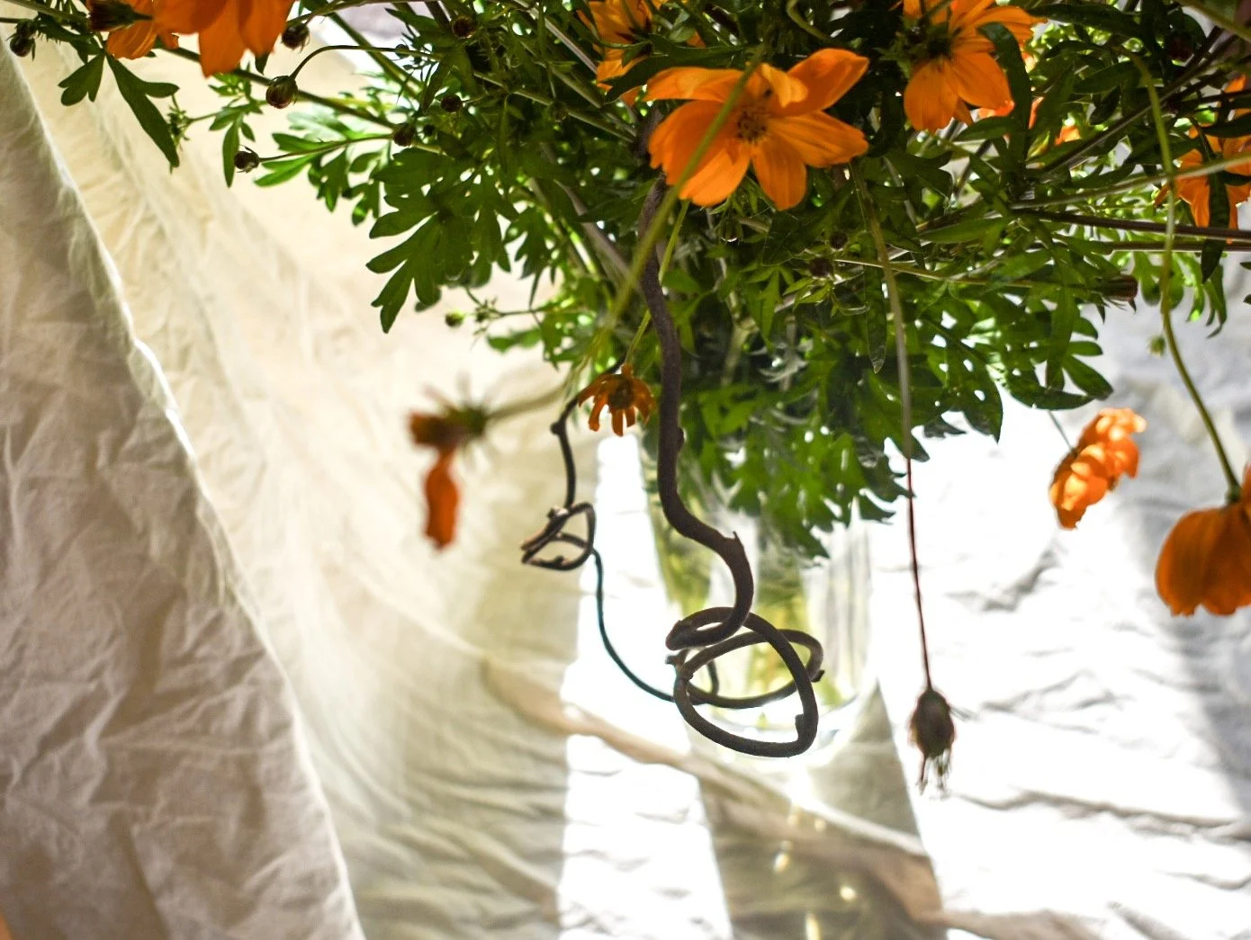 Sat. Aug 1 'First Harvest' Still Life Workshop