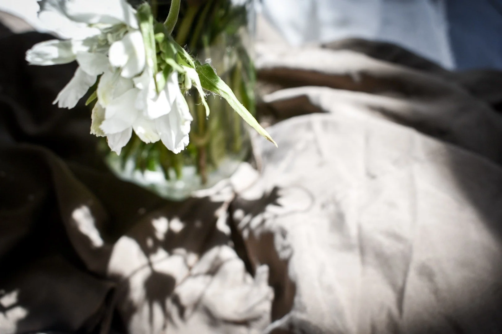 White flowers in a glass jar, casting shadows on a crumpled black and white fabric.