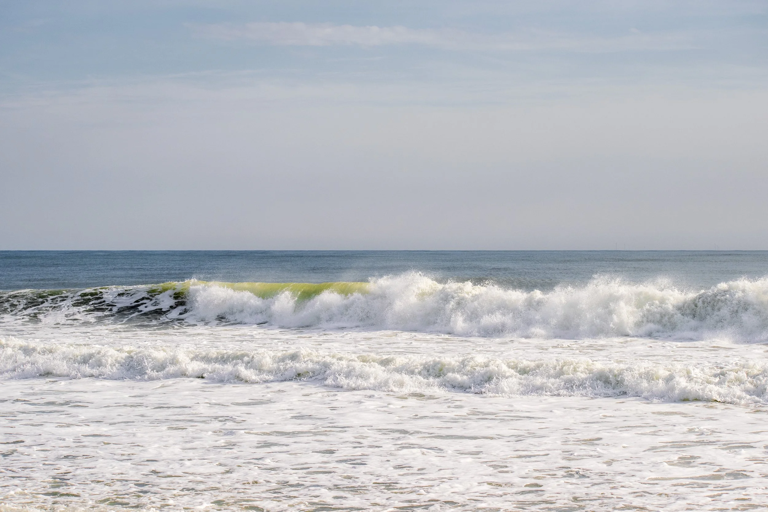 DSC_0819.jpg
