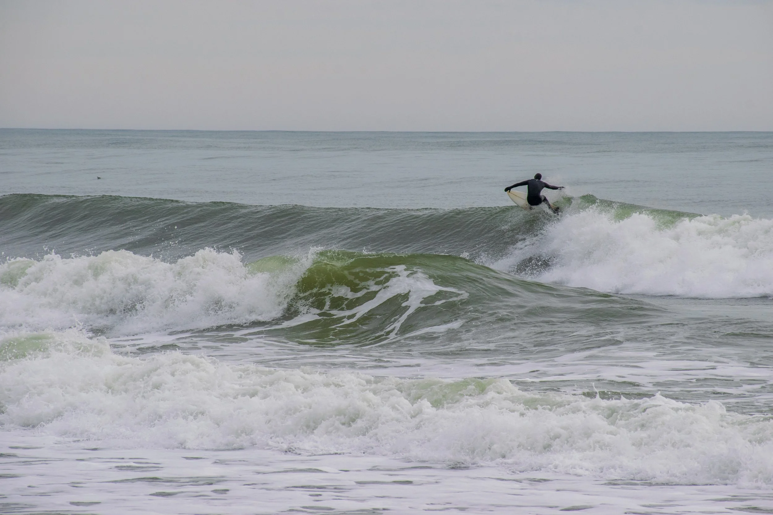 DSC_0520.jpg