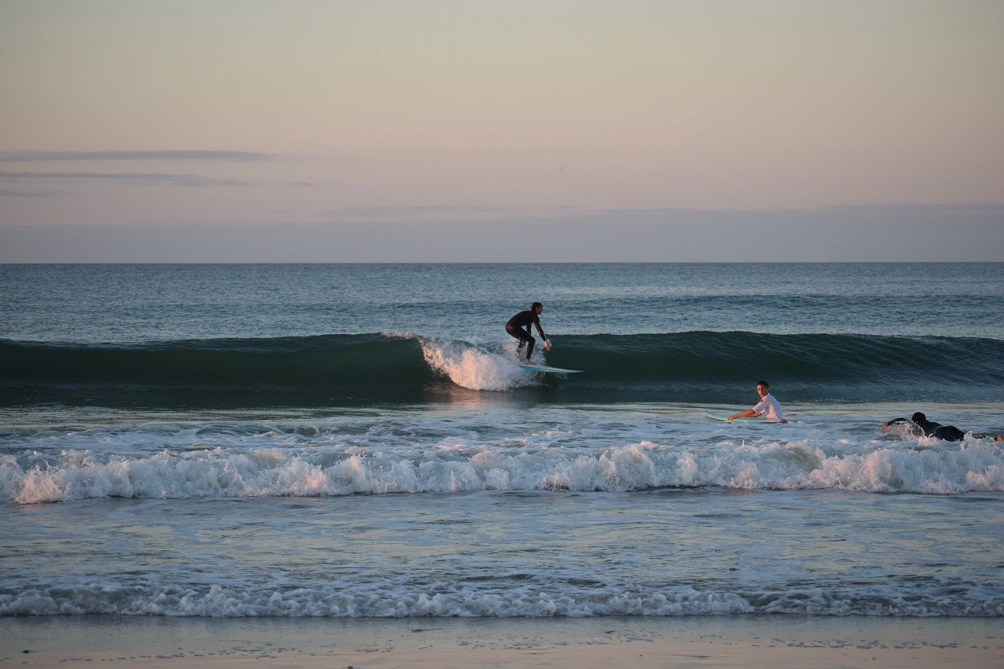 DSC_0572.jpg