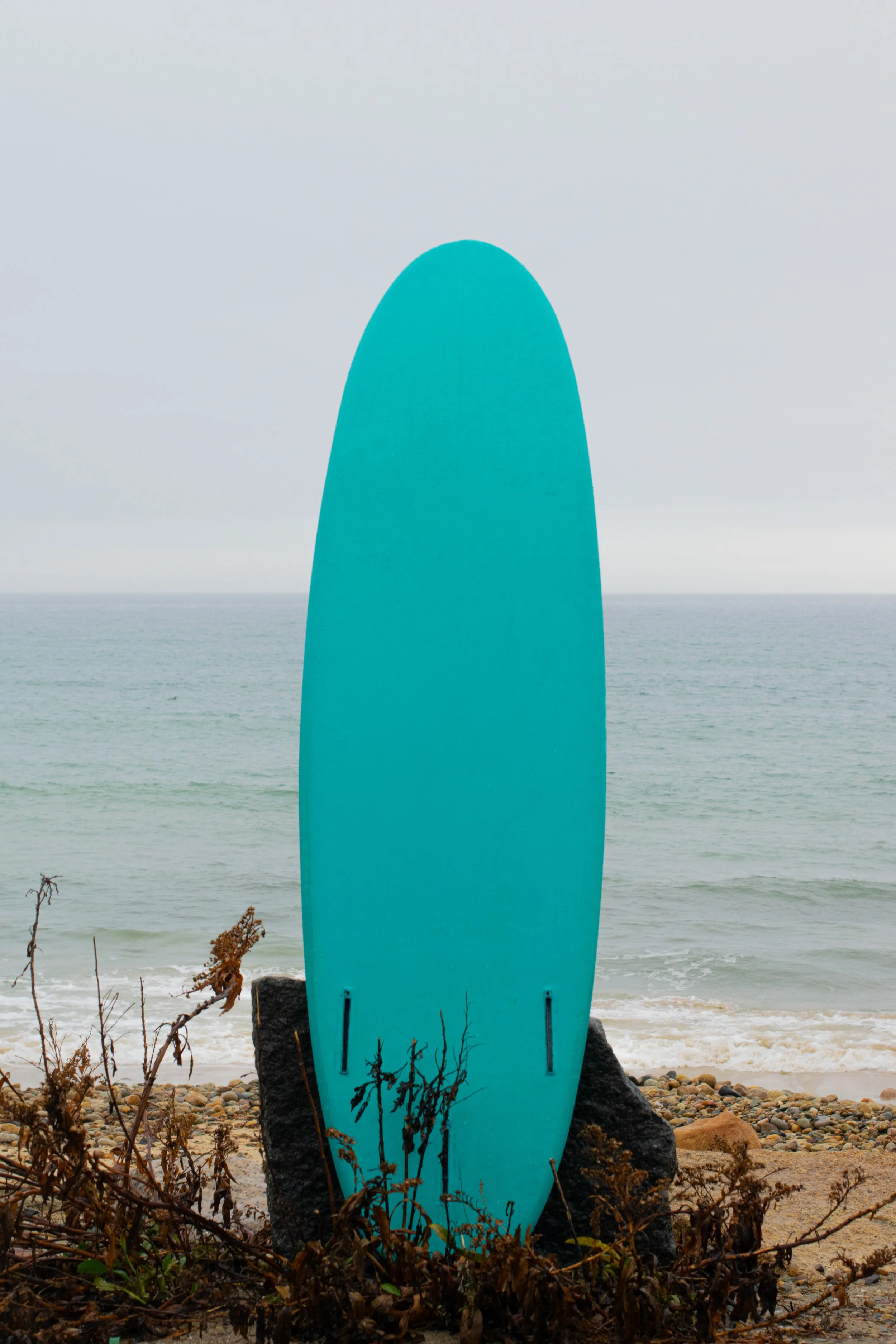 DSC_0087.jpg