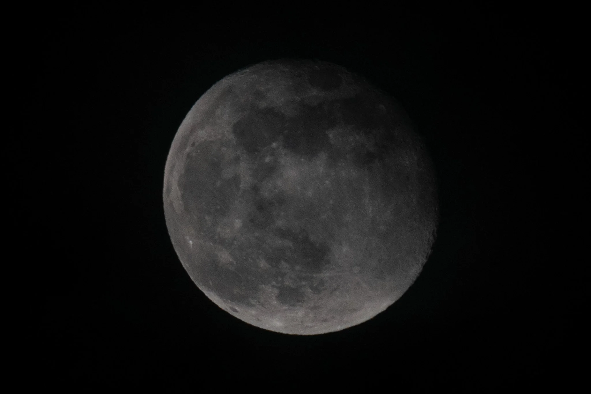 DSC_0445.jpg