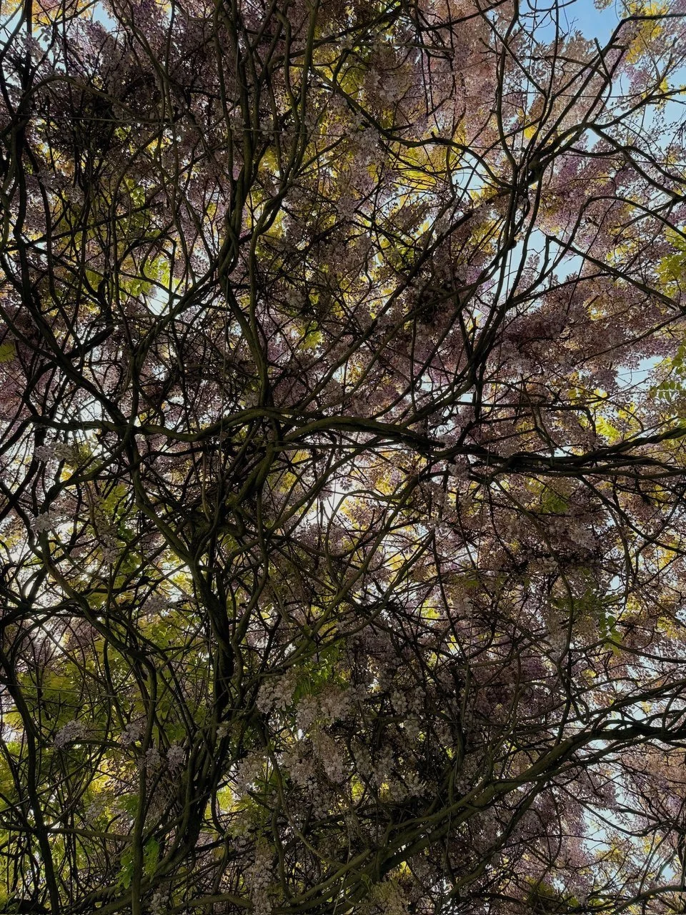 vsco_051924.jpg