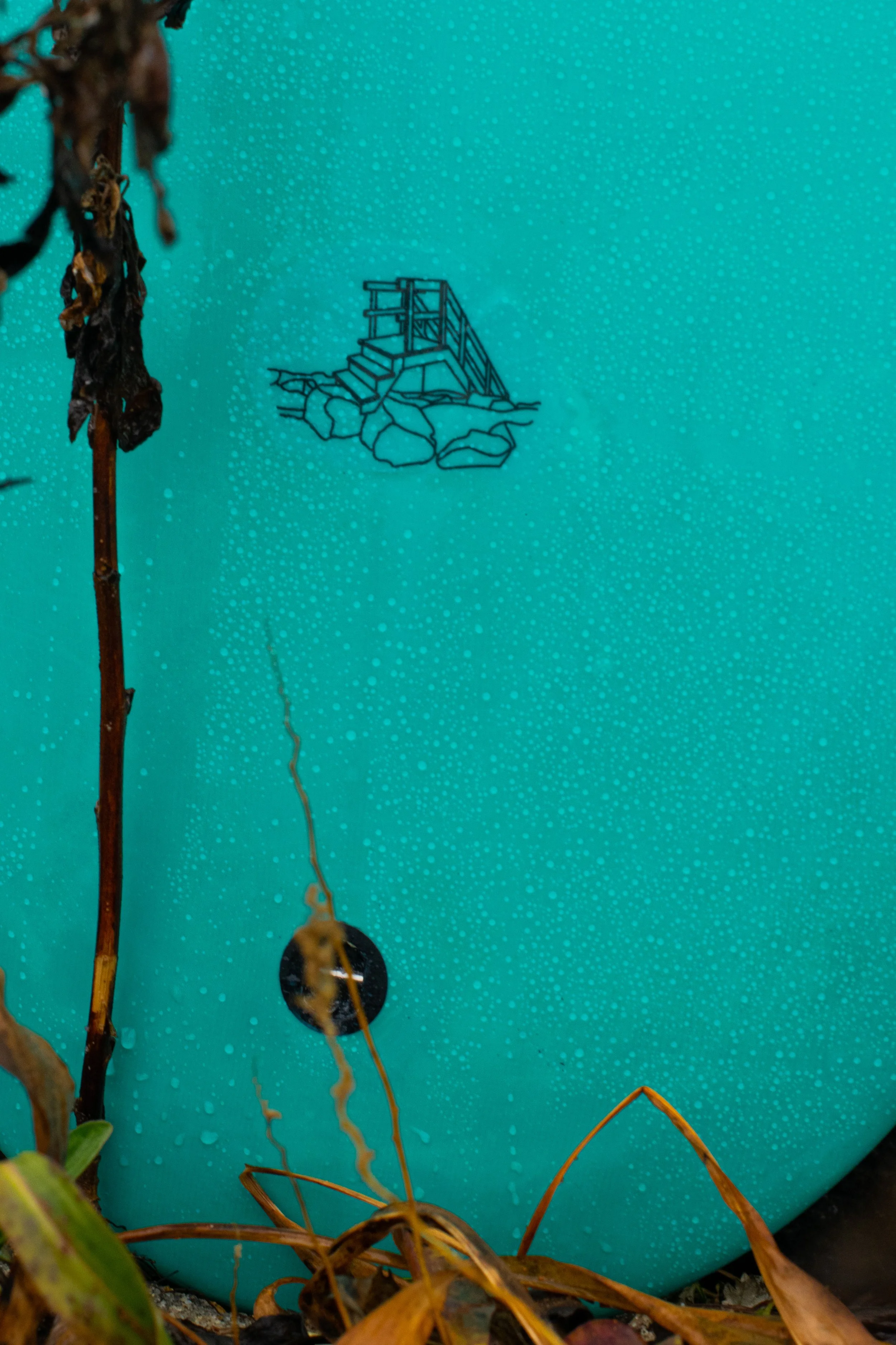 DSC_0081.jpg