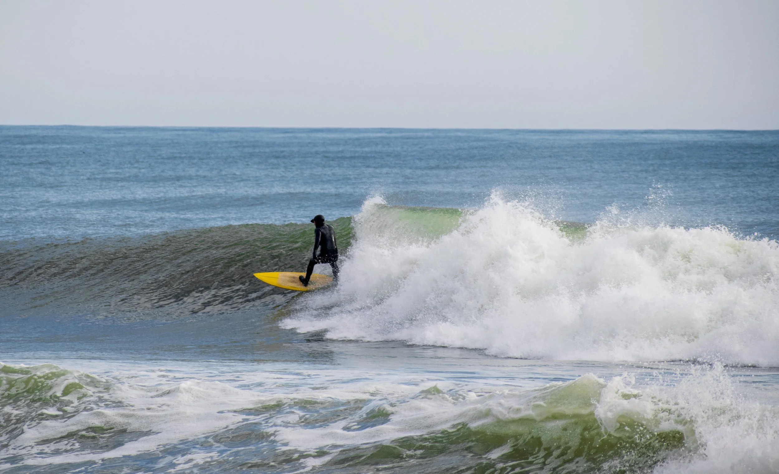 DSC_0721.jpg