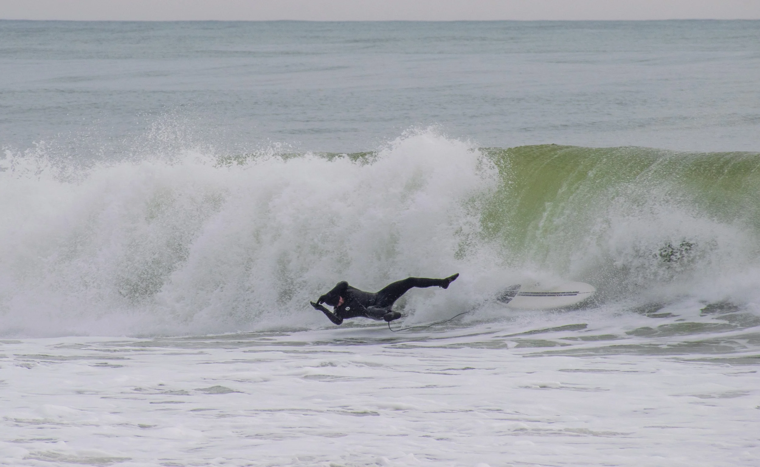 DSC_0509.jpg