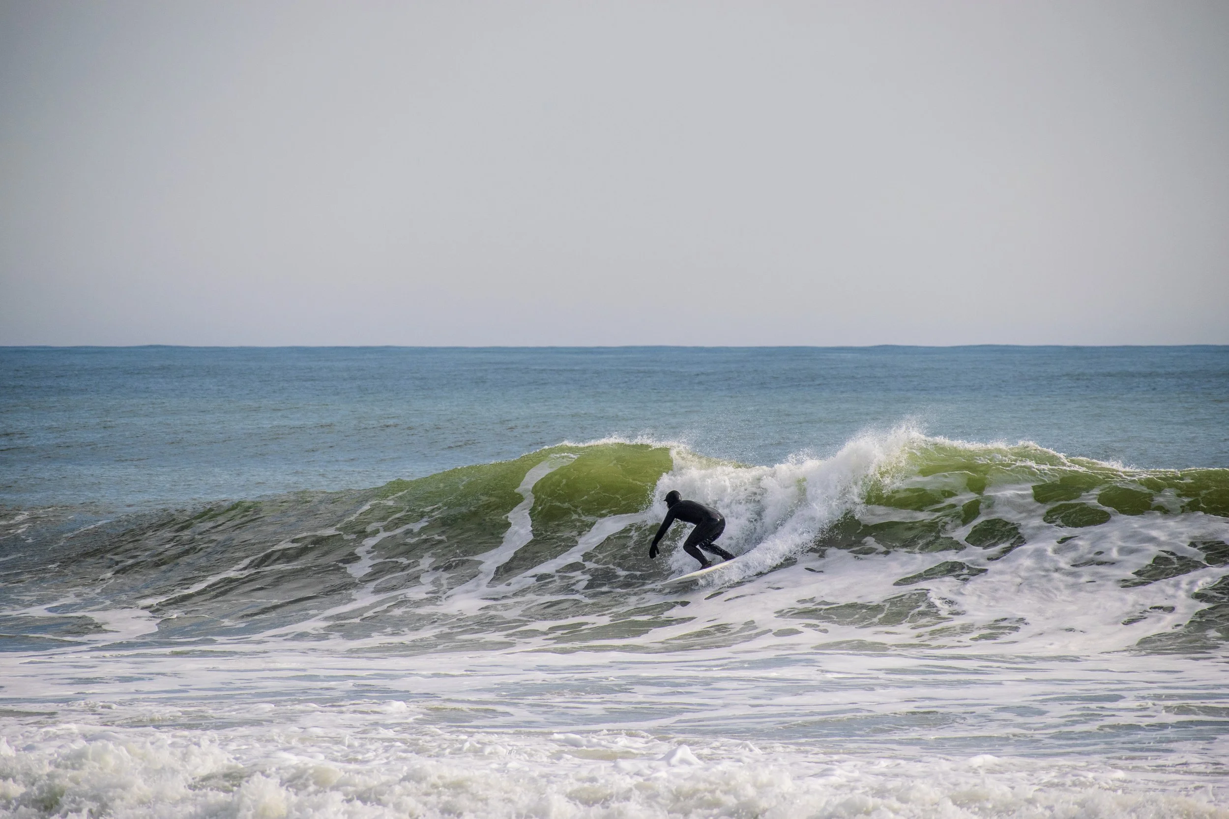 DSC_0791.jpg