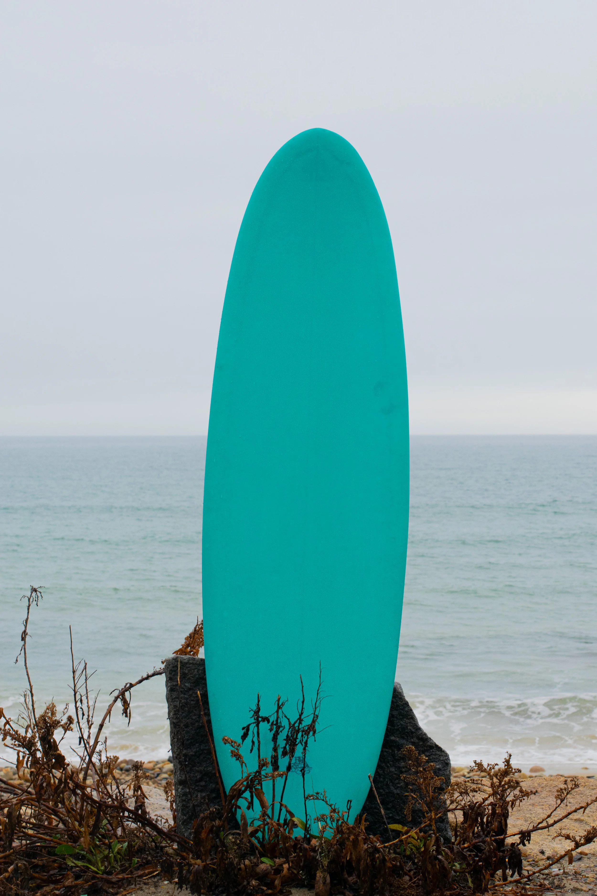 DSC_0079.jpg