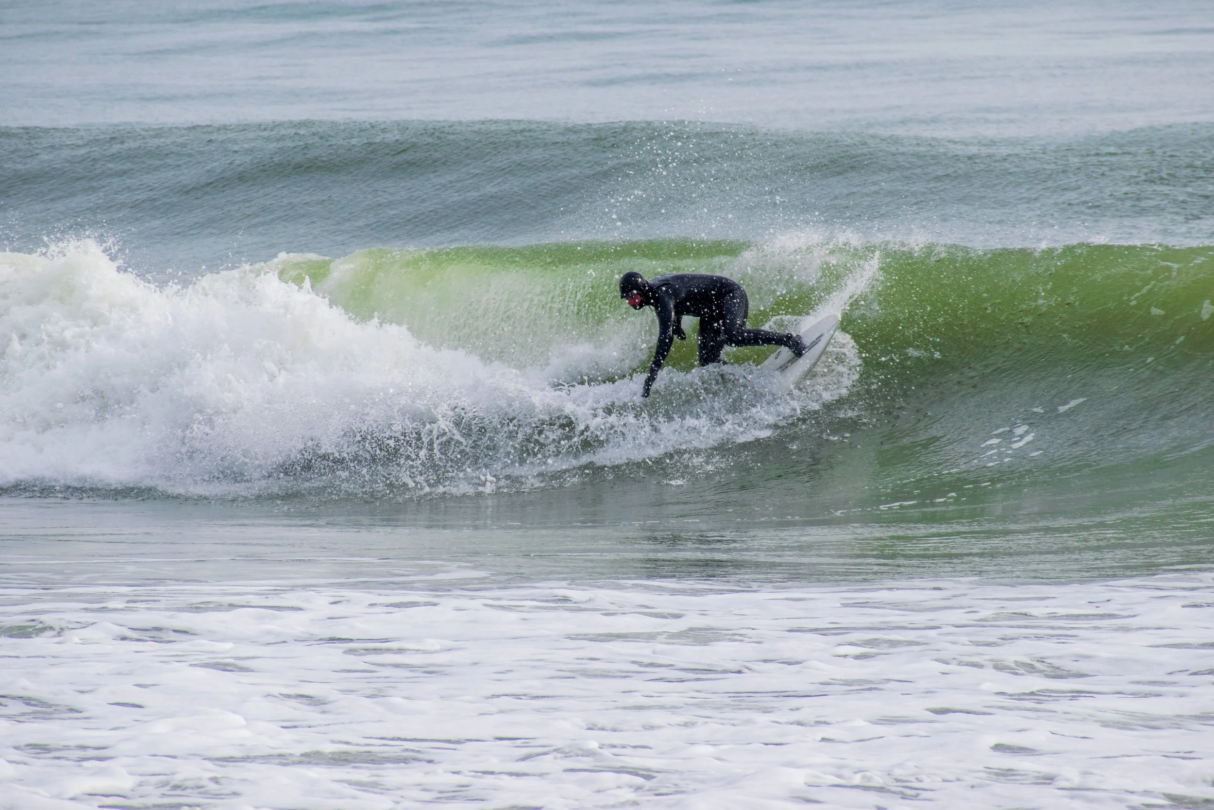 DSC_0576.jpg