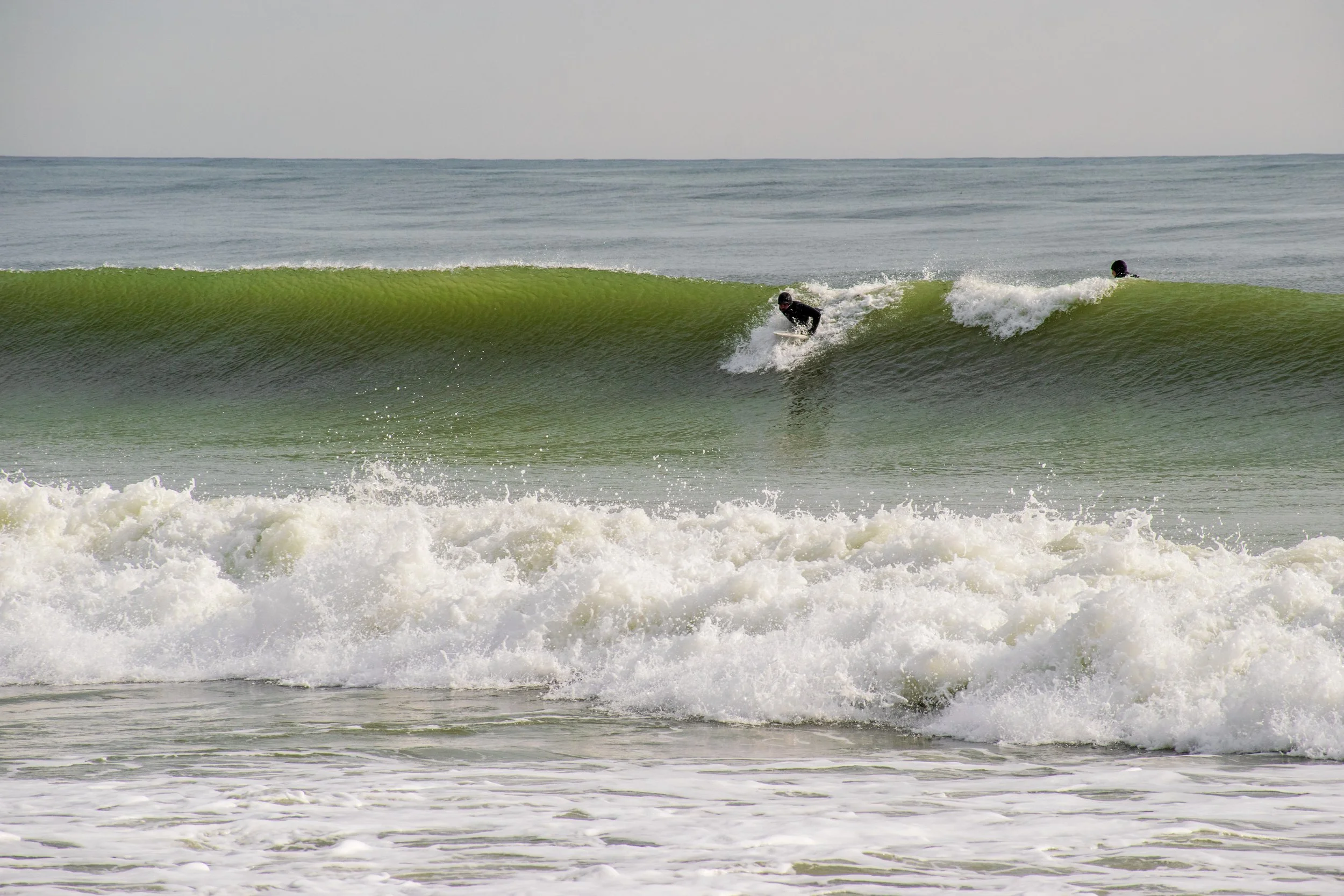 DSC_0564.jpg