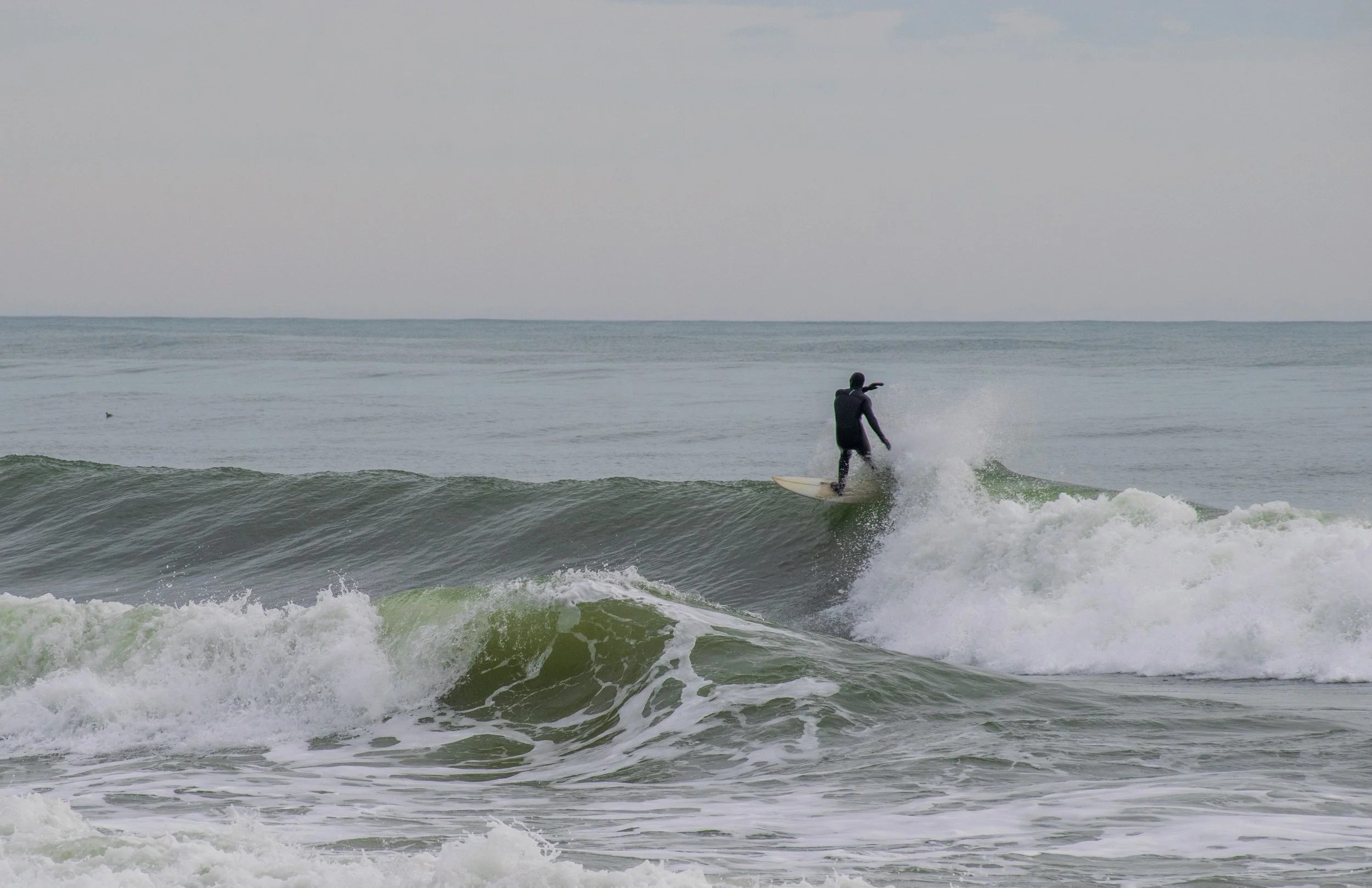 DSC_0521.jpg
