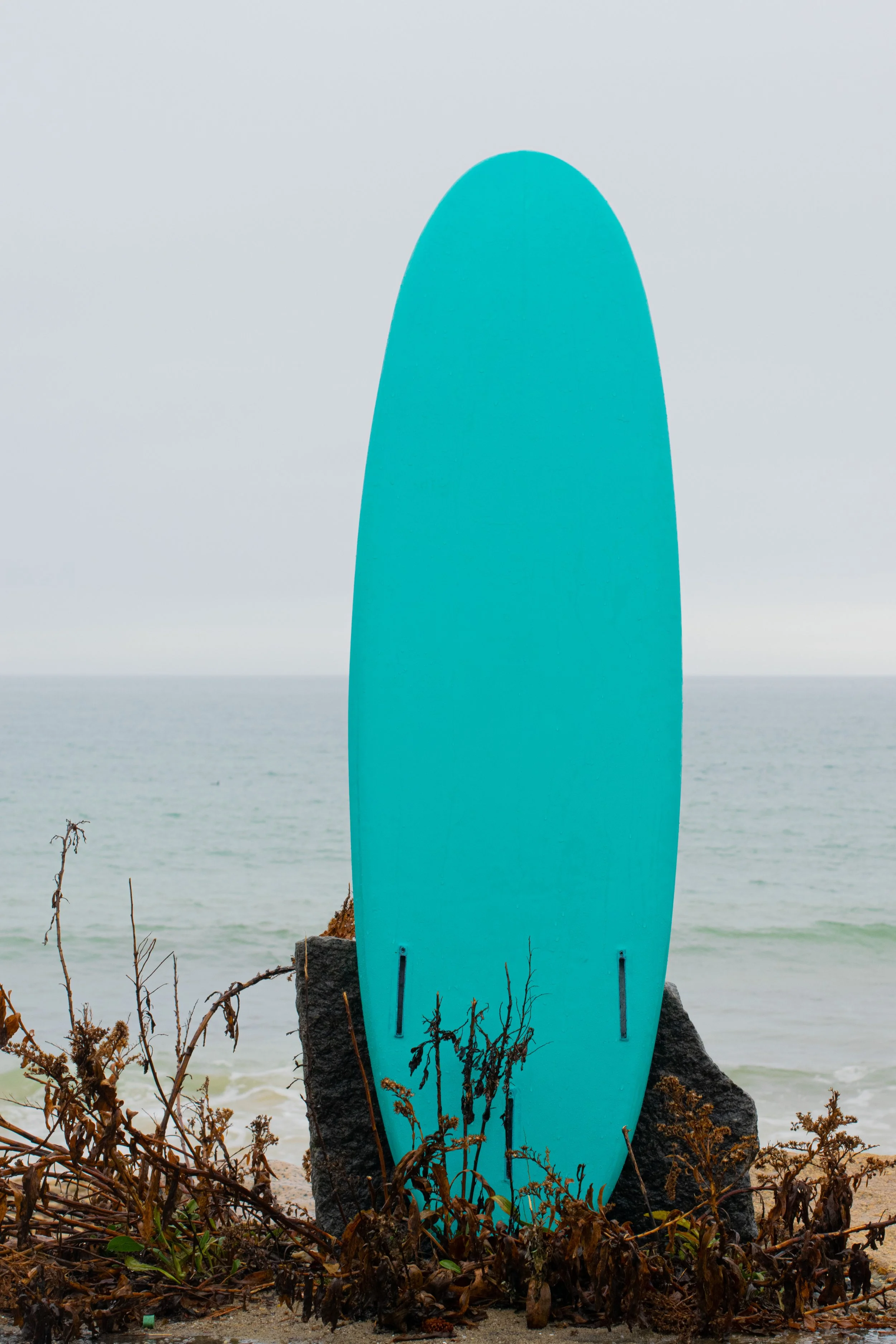DSC_0084.jpg