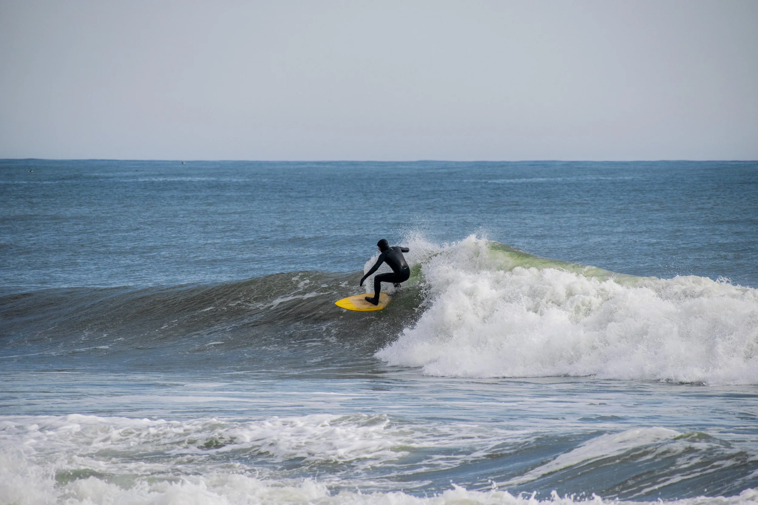 DSC_0740.jpg