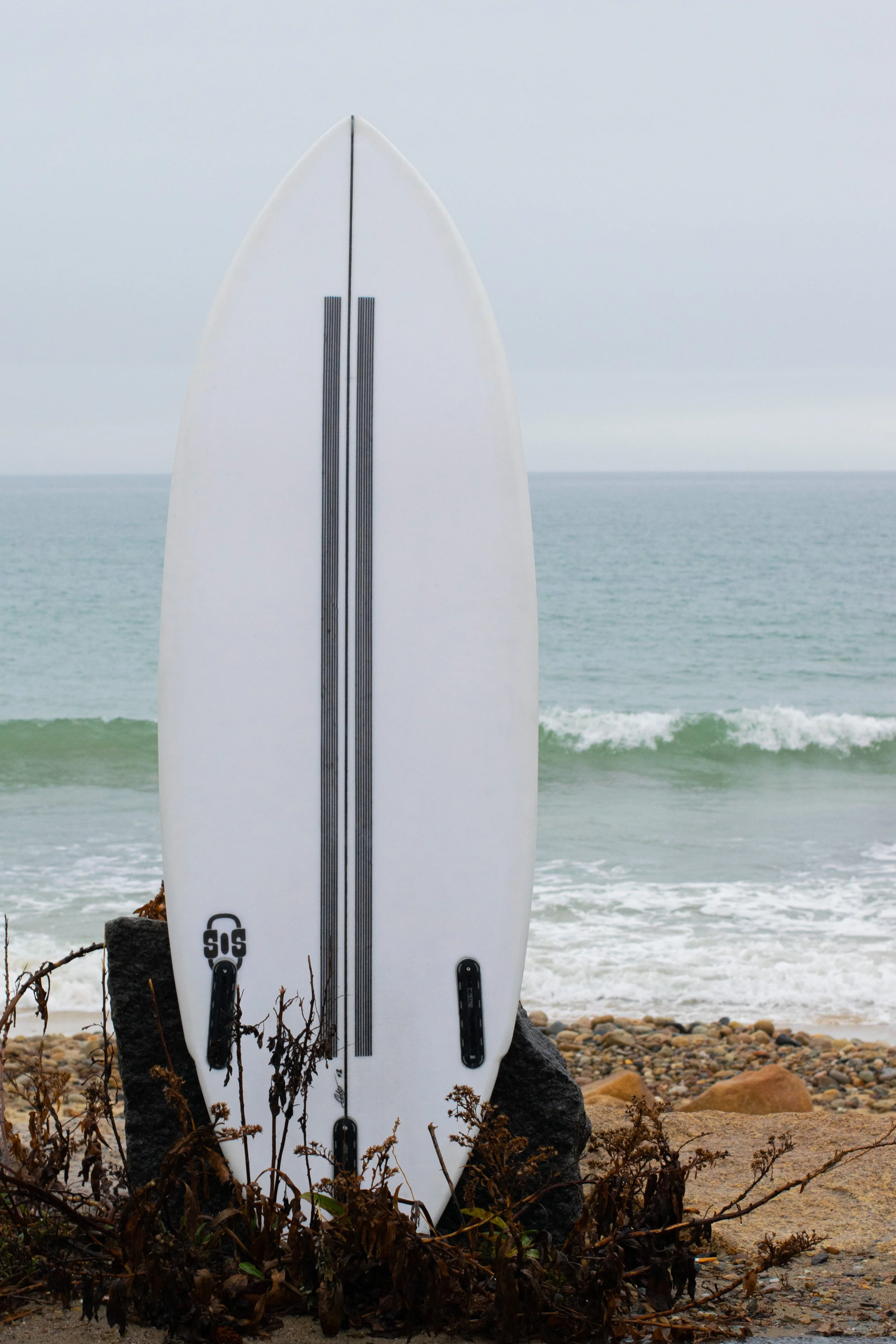 DSC_0072.jpg