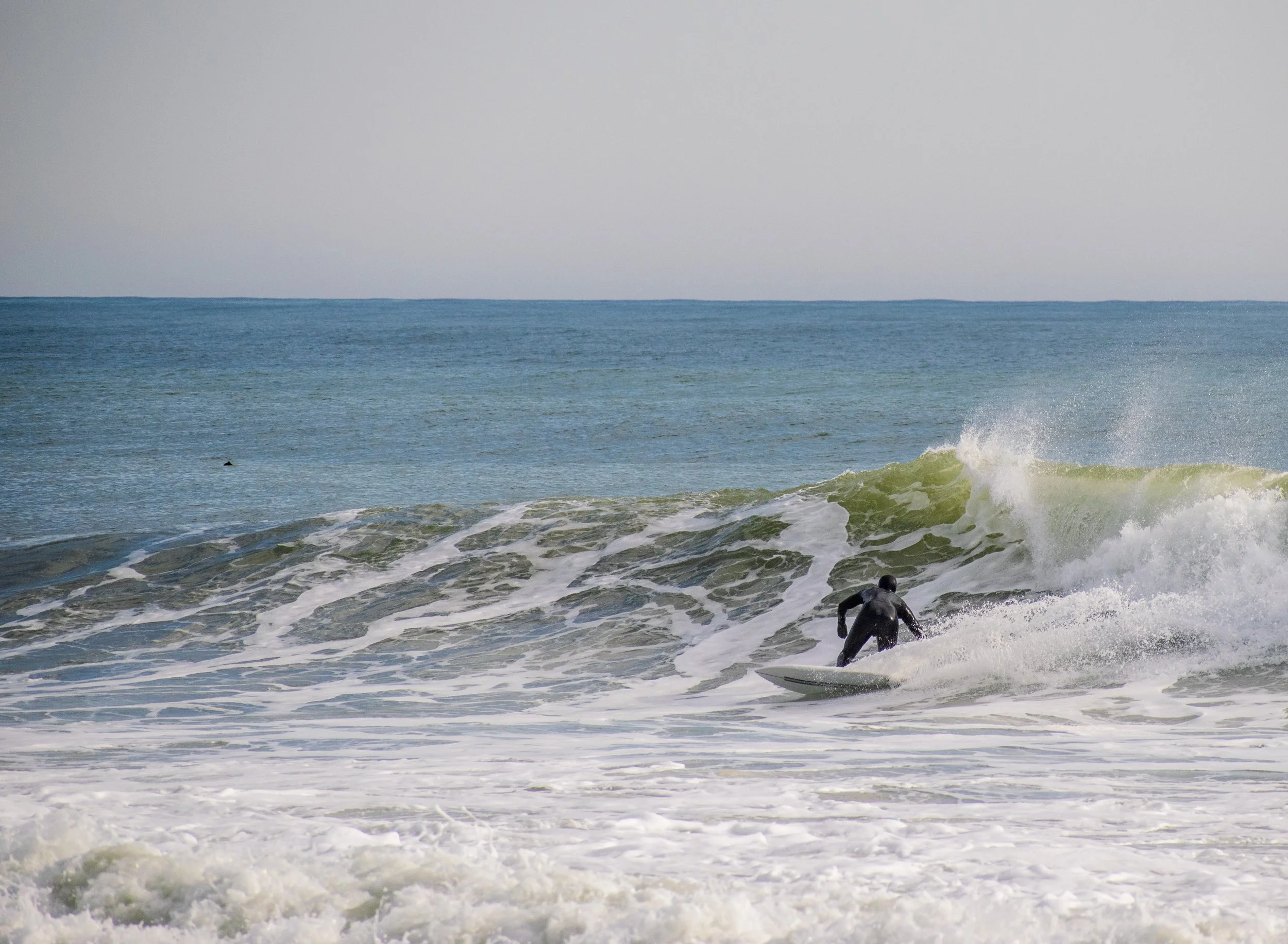 DSC_0794.jpg
