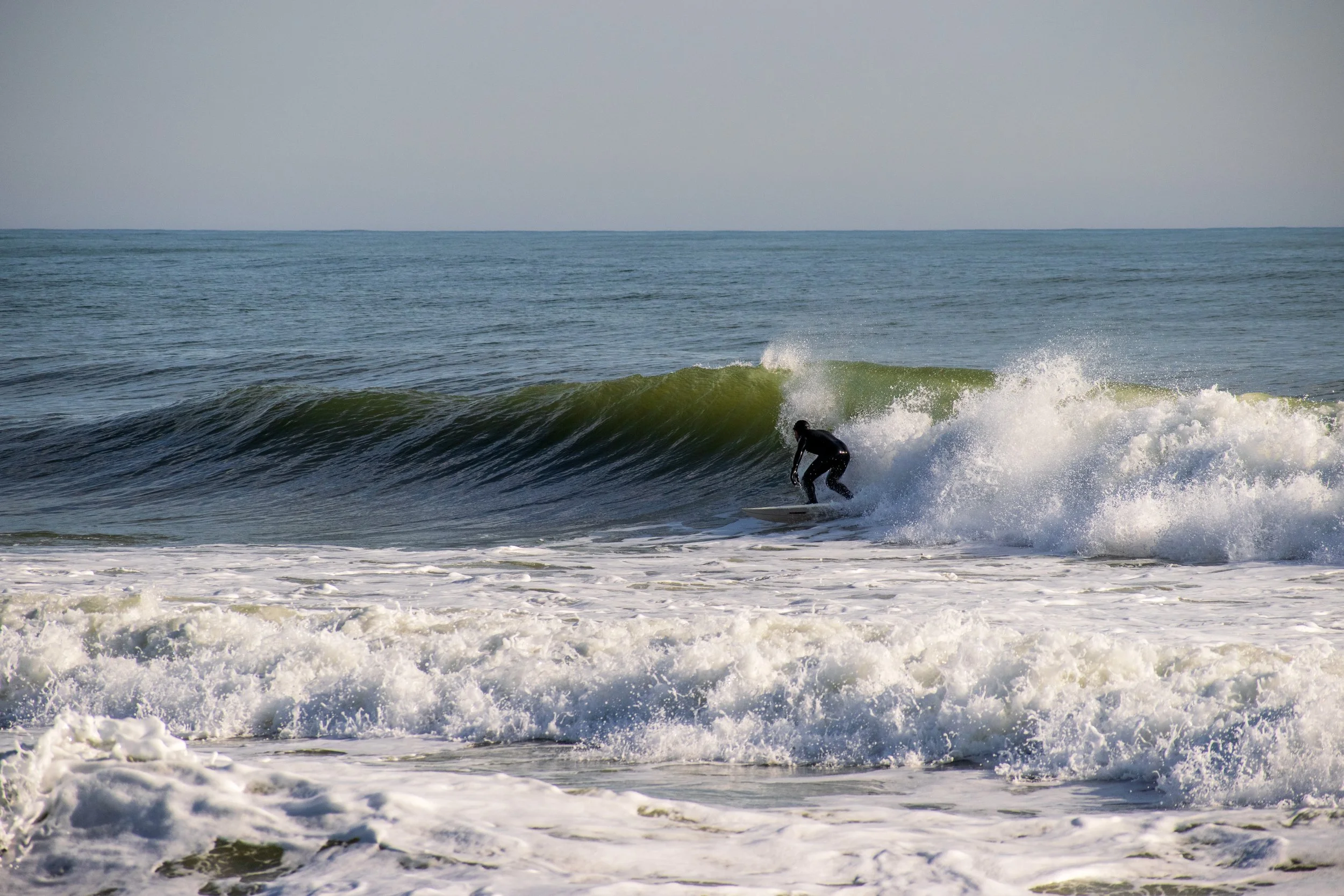 DSC_0842.jpg