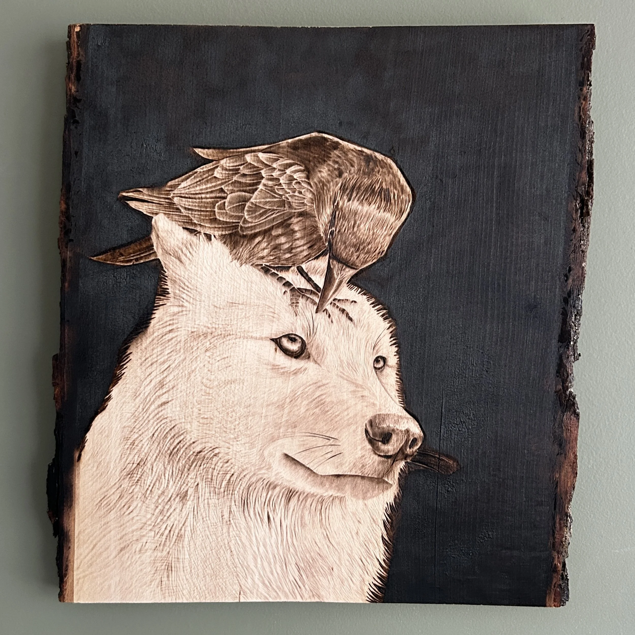 Ravens Who Spoke with Wolves (2026) - In her book Braiding Sweetgrass, Robin Wall Kimmerer gives a brief retelling of Nanabozho, the first human on planet earth, and mentions that he saw "the Ravens who spoke with Wolves." I fell in love with this ph