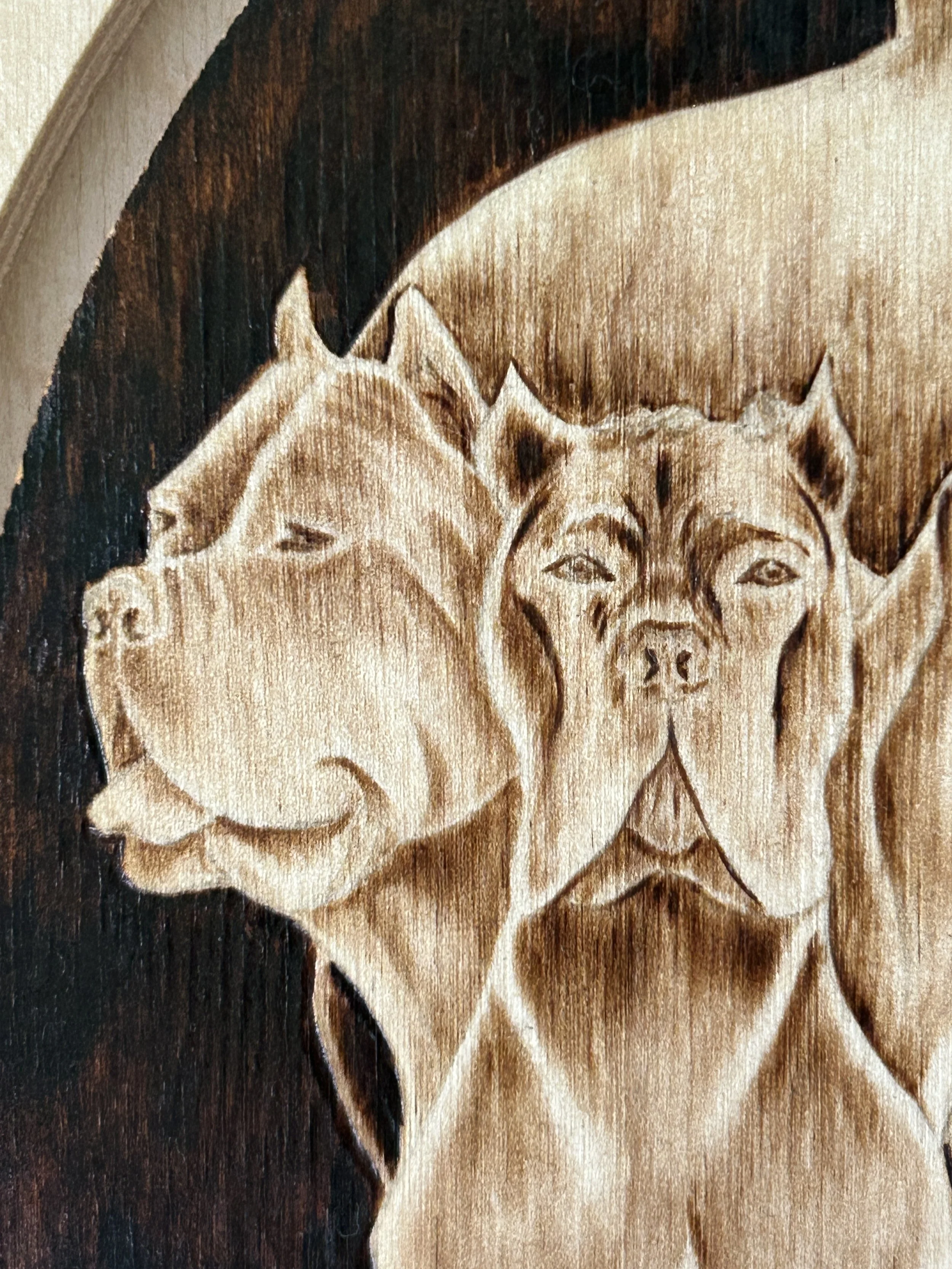 C+P Left Head Detail.JPG