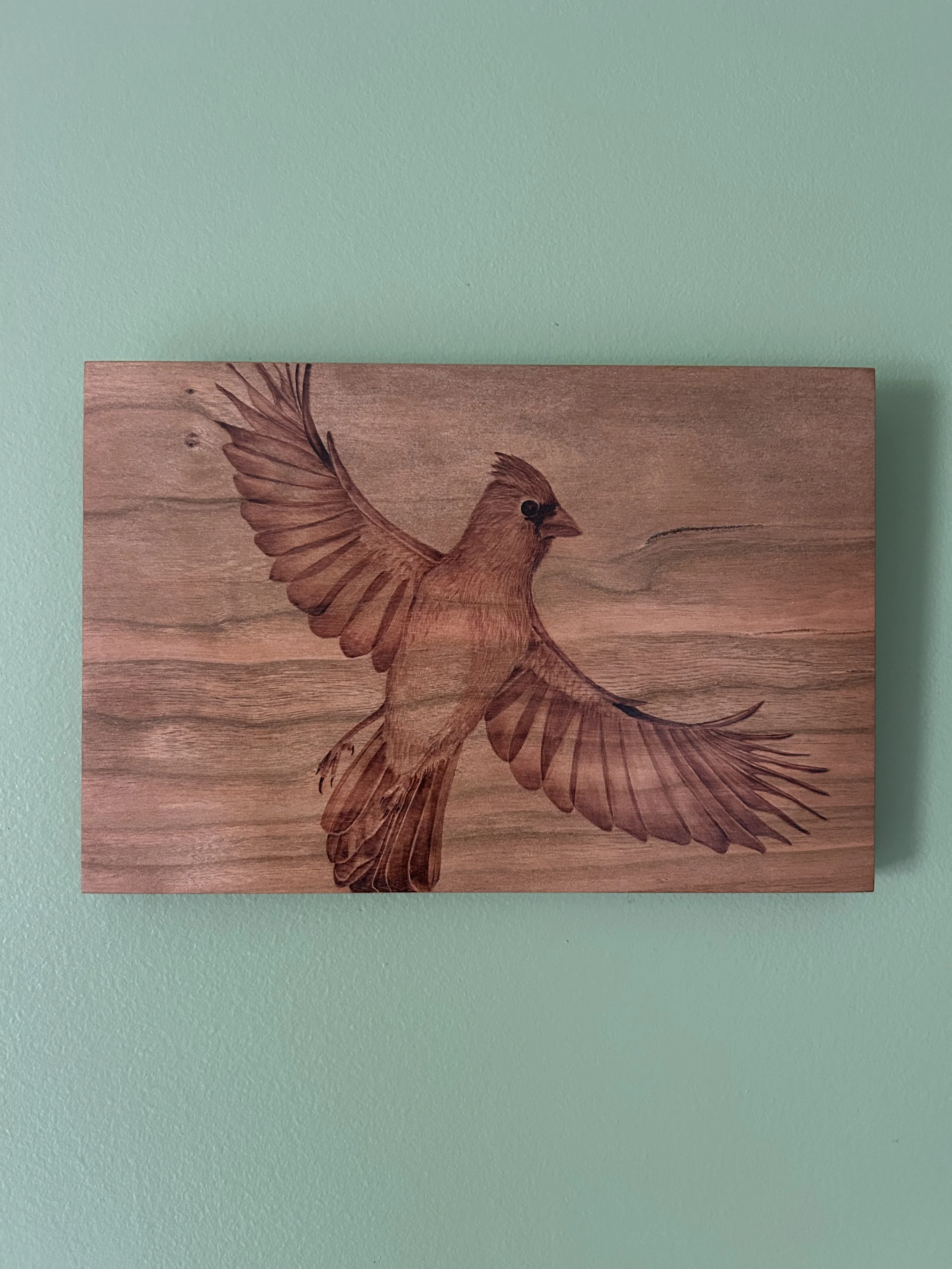 Fly for Tomorrow - Inspired by the song "Red Bird" by Goose
