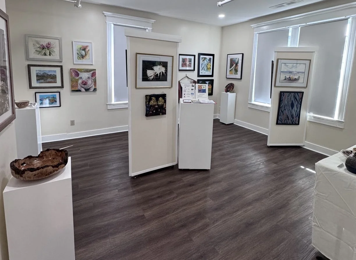 alamance-artists-group-show-the-marshall-muse-community-gallery.jpg
