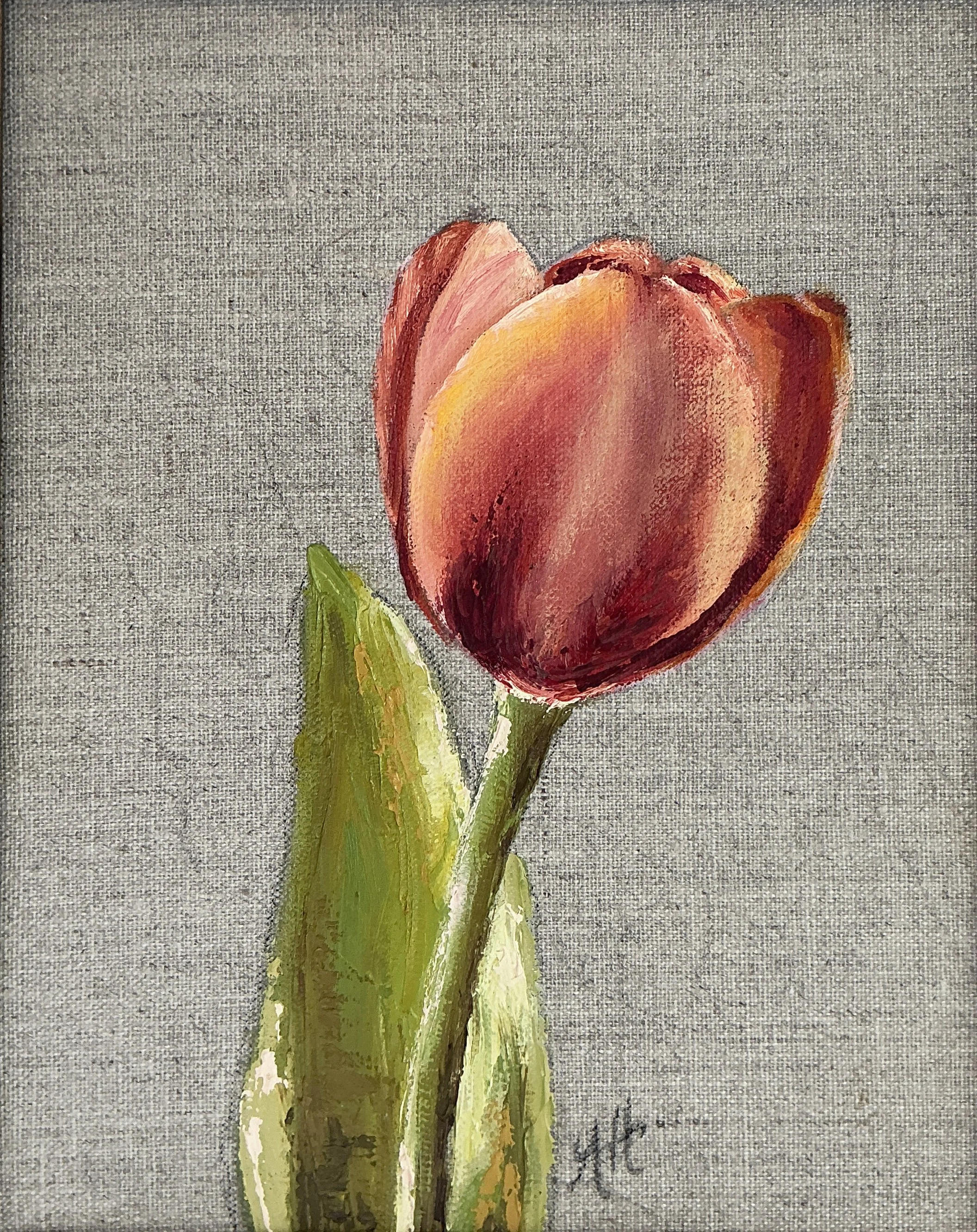 Anna Hargett - Tulip.jpg