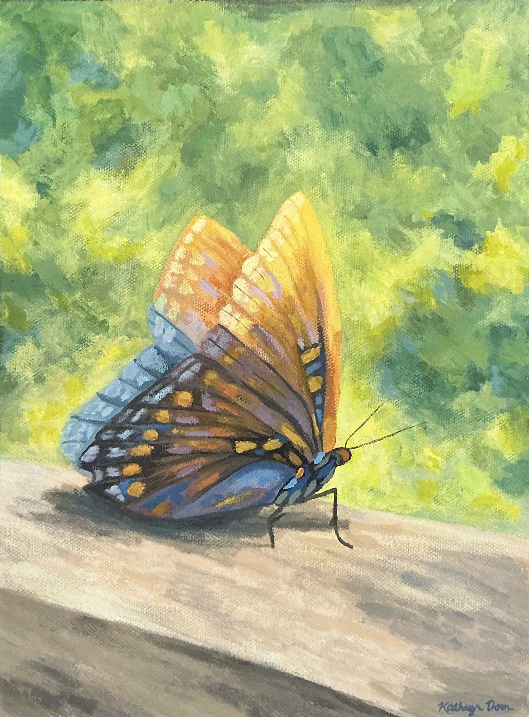Kathryn Dorn - Backyard Butterfly.jpg