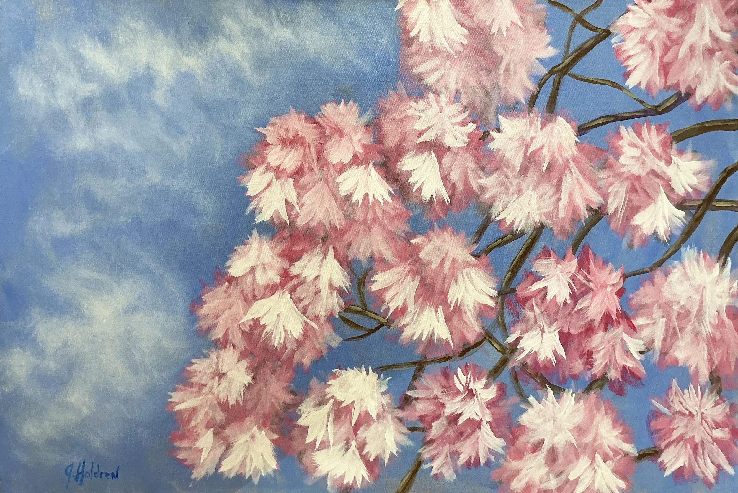 Justin Holdren- Spring Blossoms.jpg