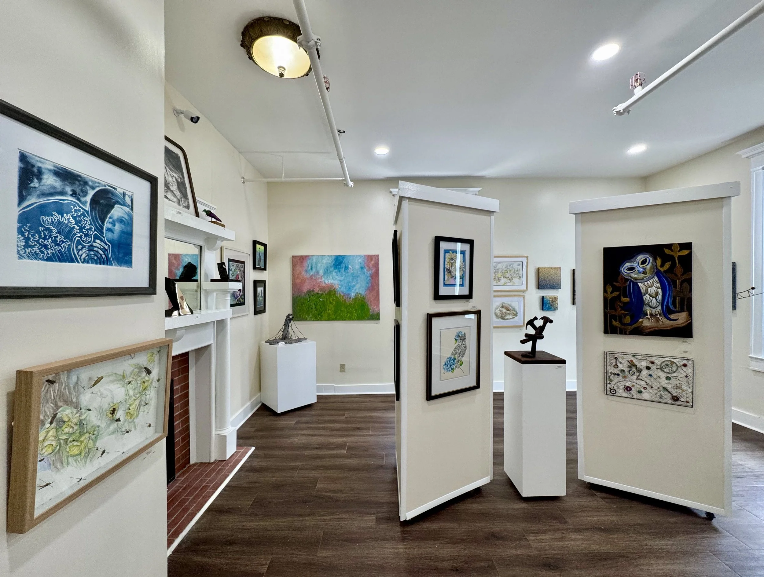 Purple_Carrots_Community_Gallery_2026_Marshall_Muse_Gallery-14.jpg