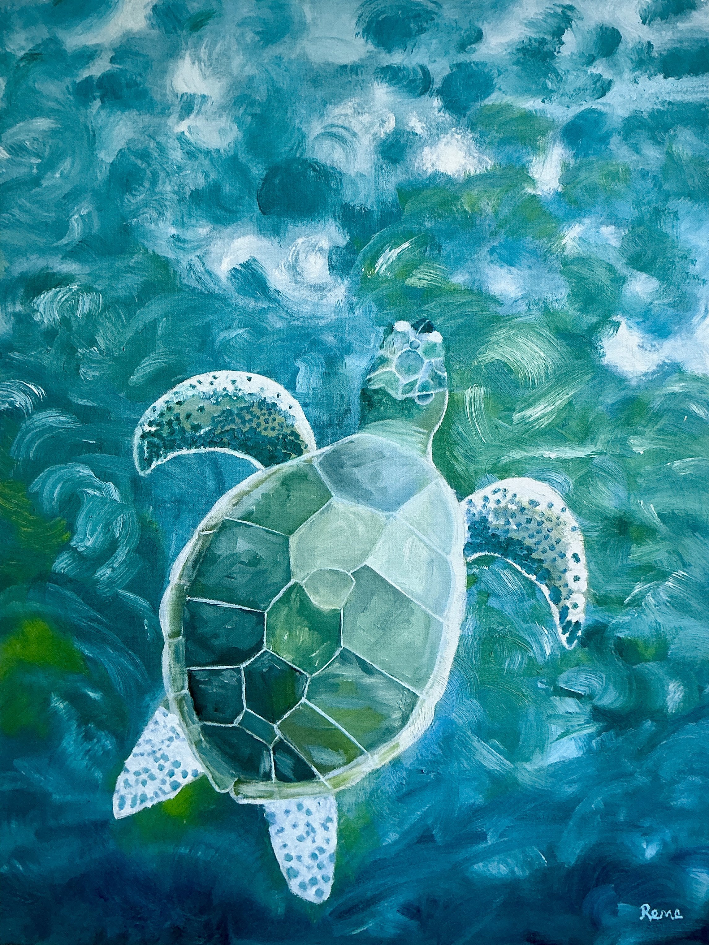 Rene Parrish - Munchkin (Turtle).JPG