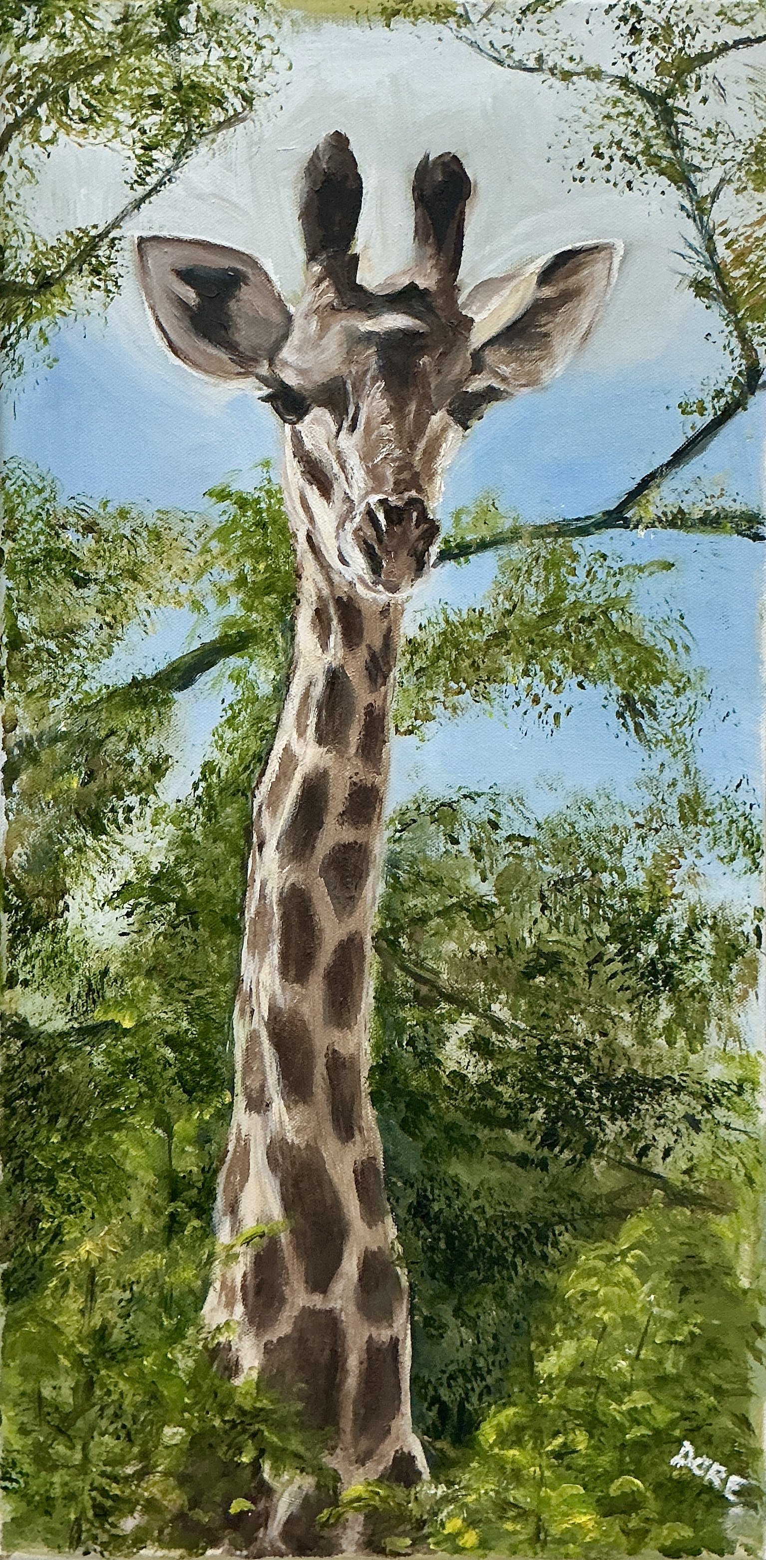 Jean Dore - South African Giraffe.JPG