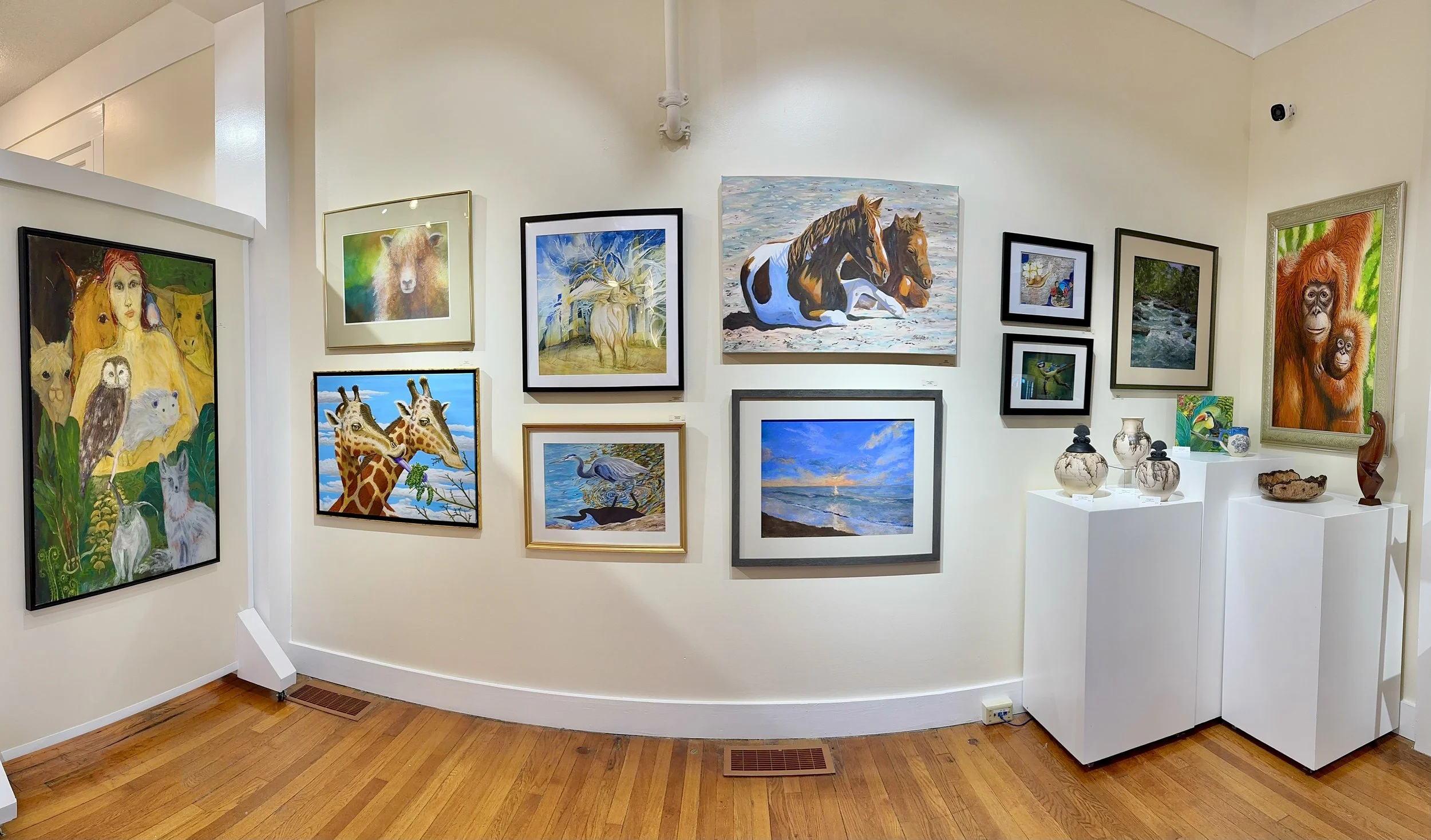 Natures Kingdom Main Gallery Exhibit The Marshall Muse Gallery.jpg