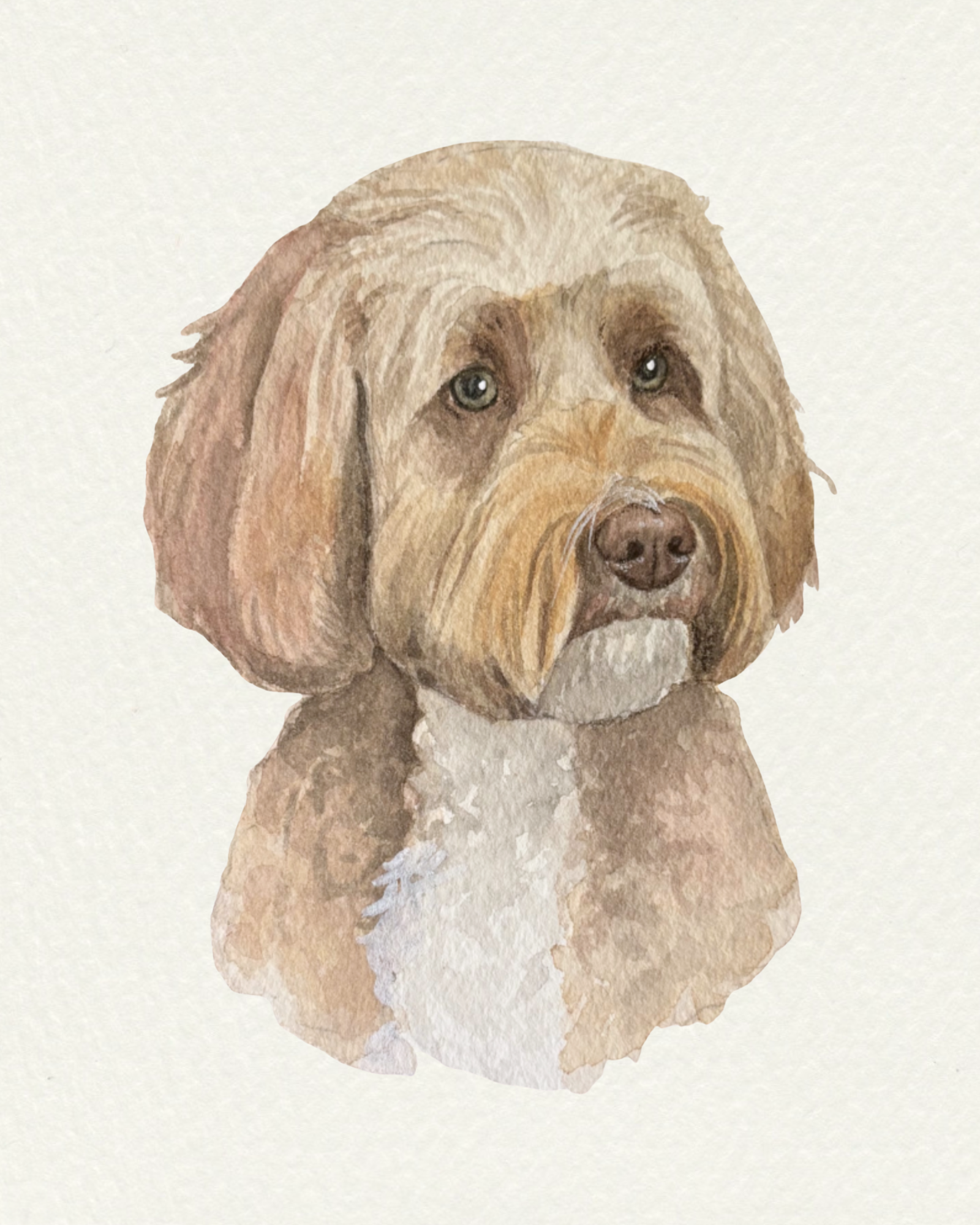 Watercolor painting of brown dog