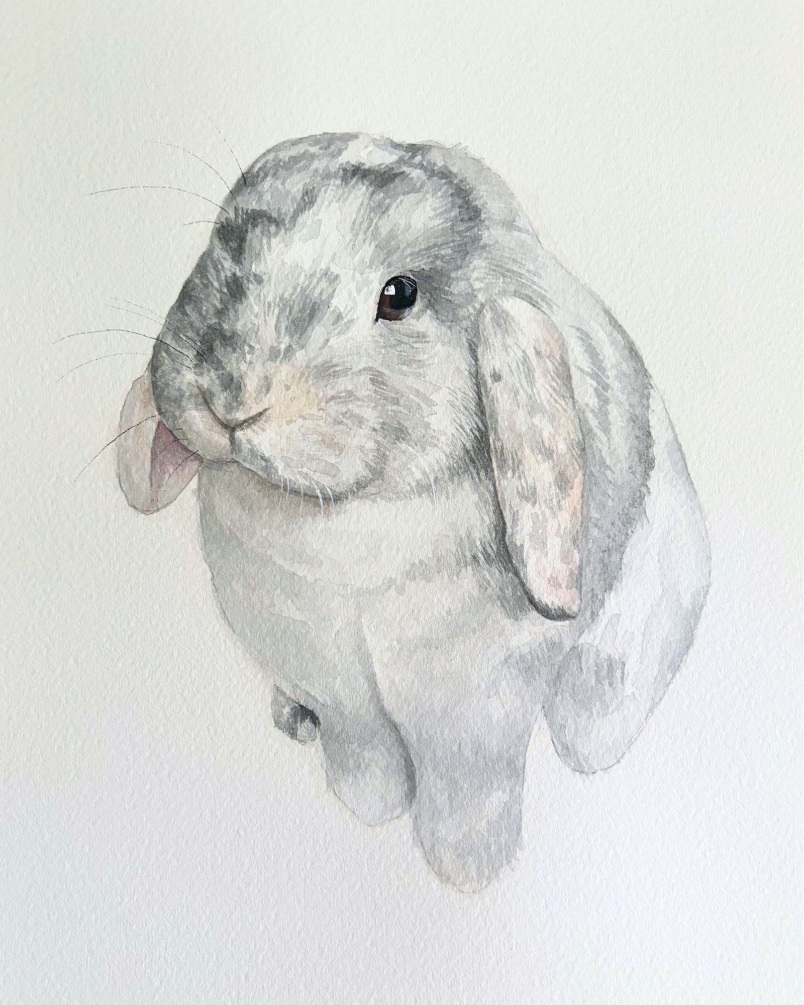 Watercolor painting of bunny rabbit