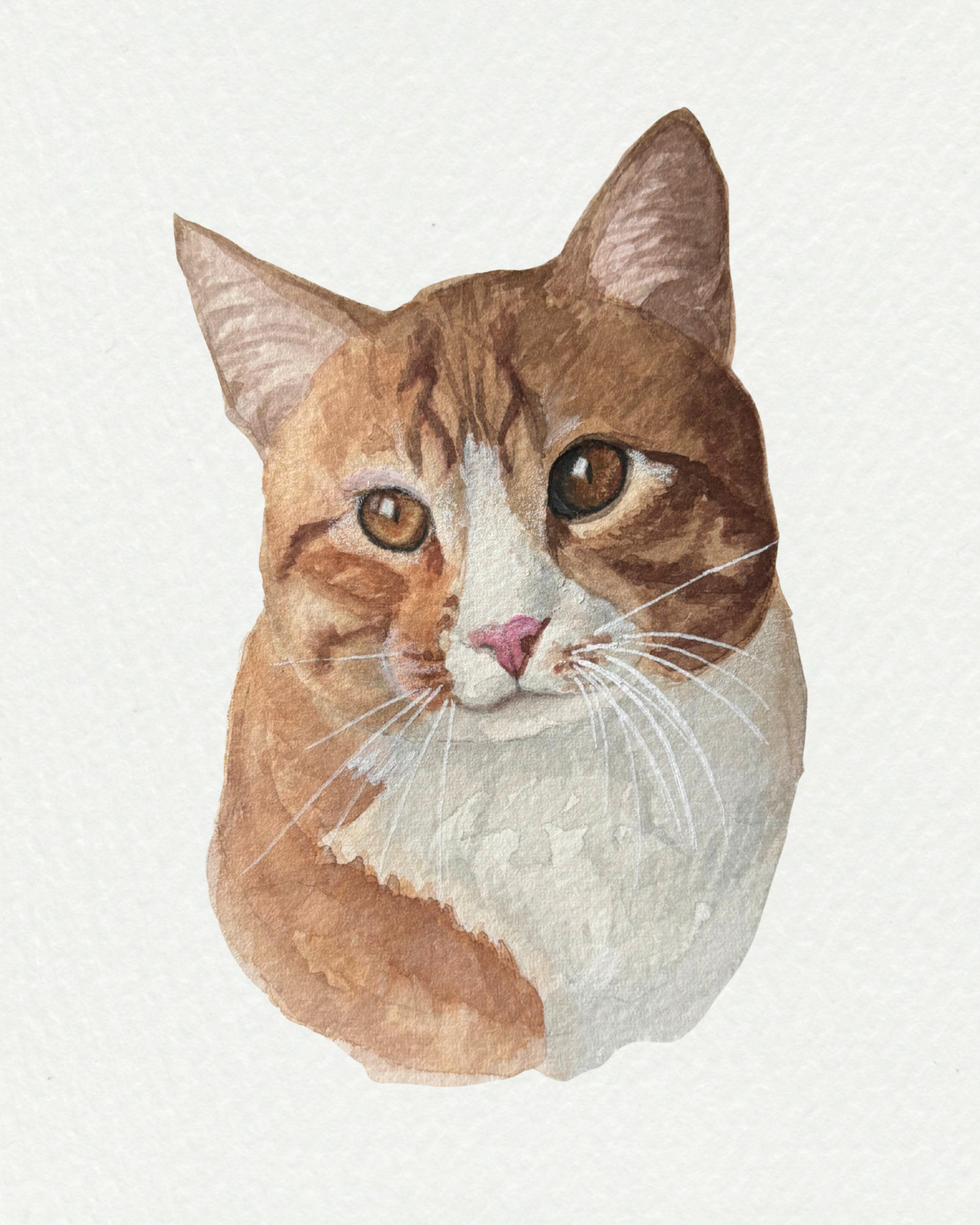 Watercolor painting orange and white cat