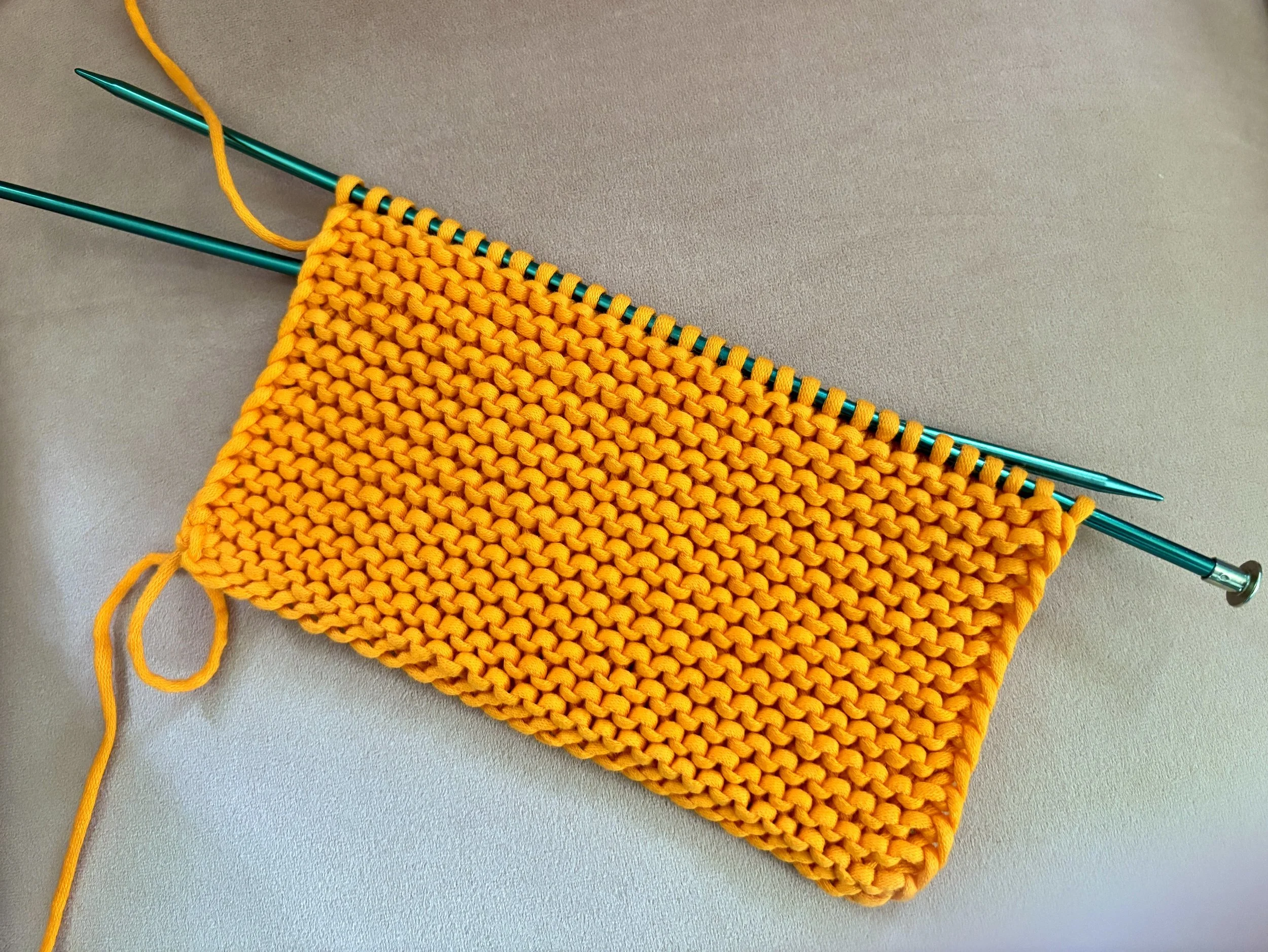 Beginner Knitting with Natalie Schorr, 2pm