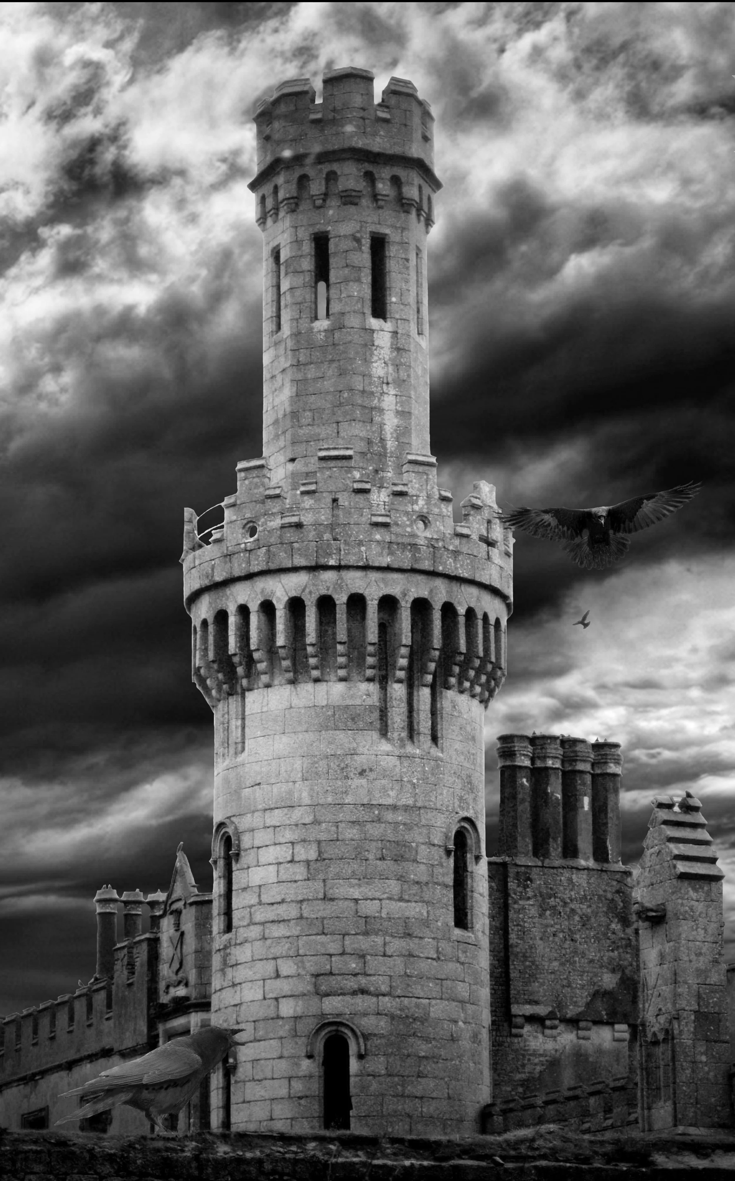 paul-nixon-banshee-tower-ducketts-grove-castle-county-carlow-ireland.jpg
