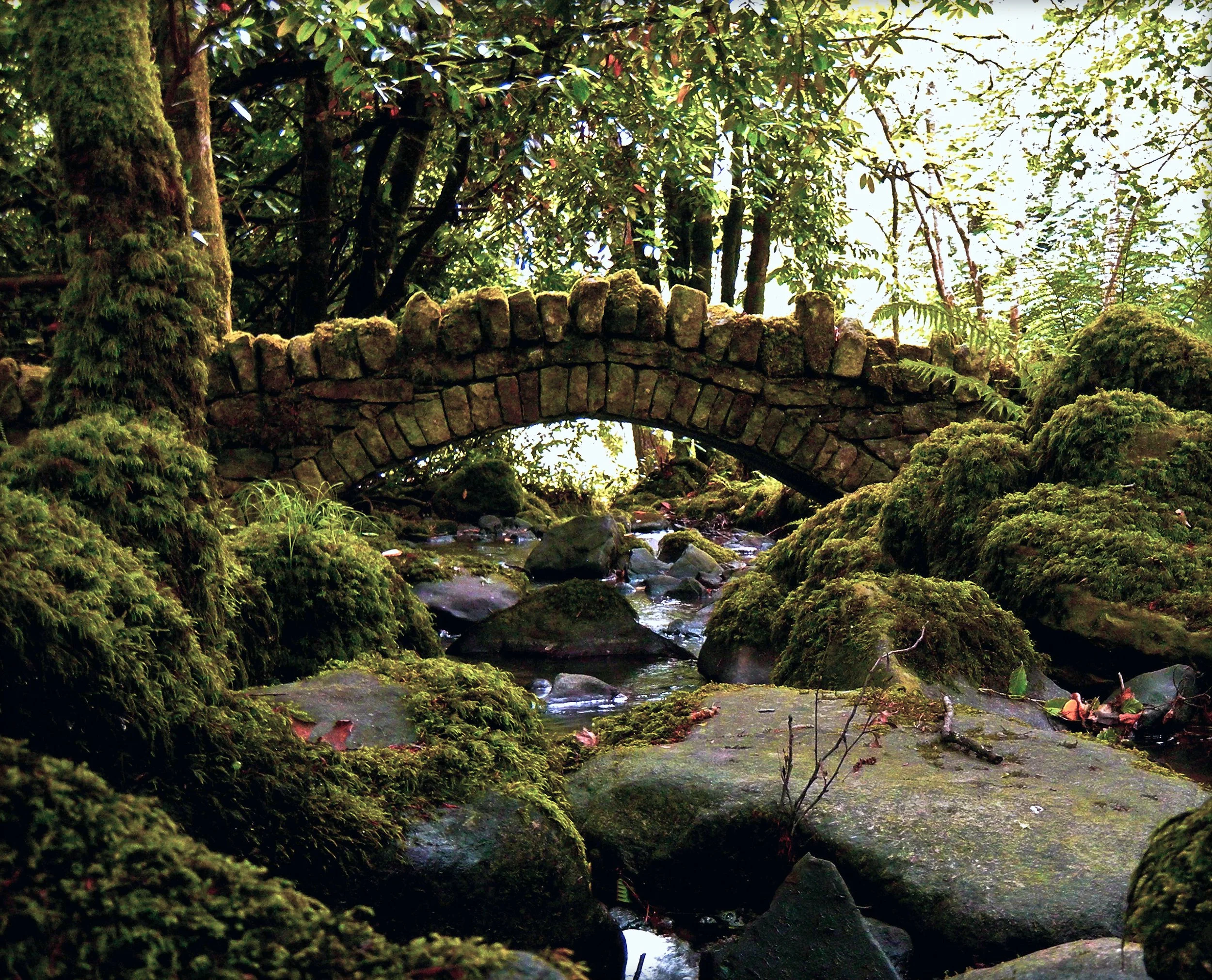 paul-nixon-bridge.jpg