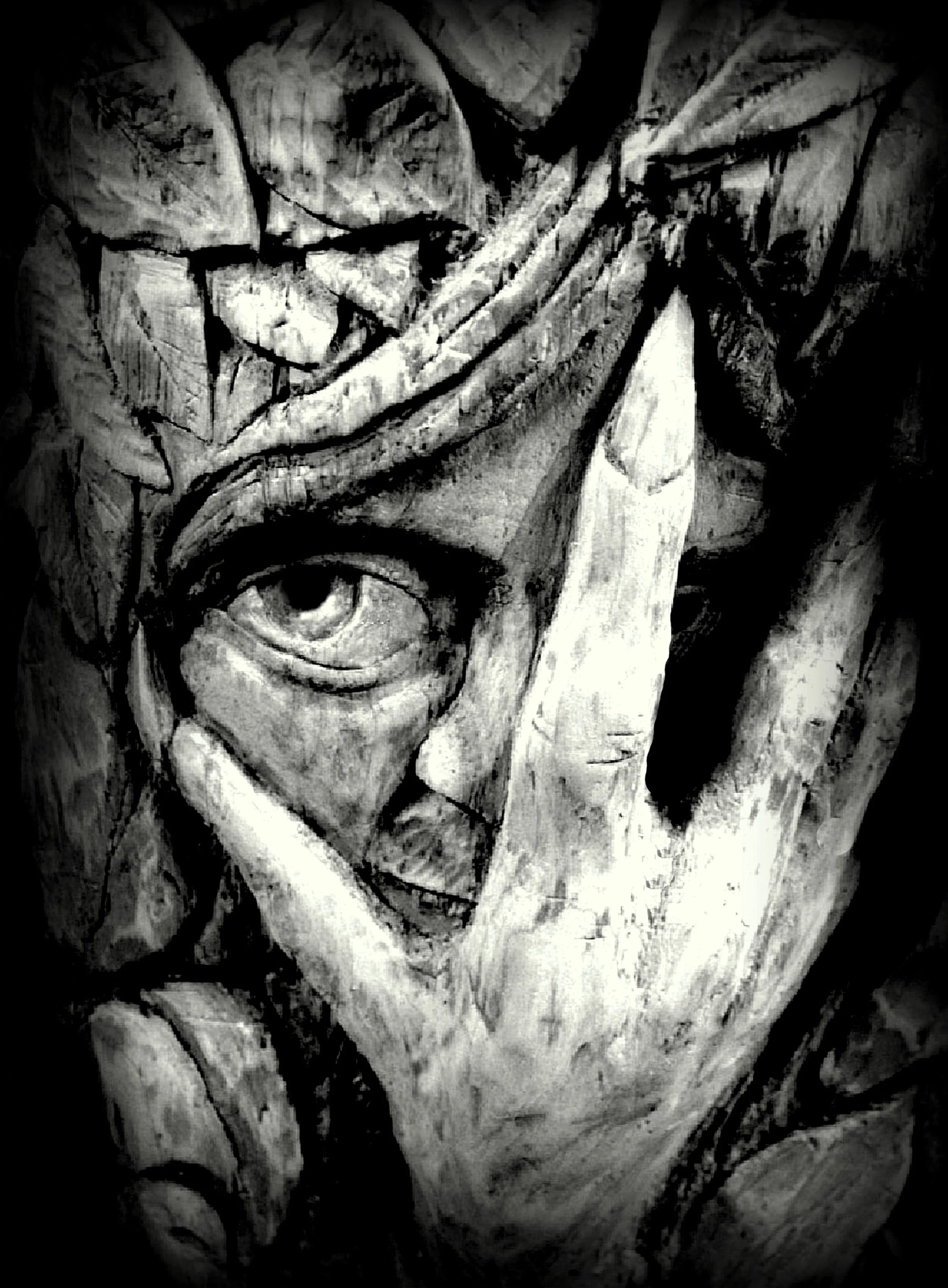 paul-nixon-dark-lady-of-the-forest.JPG